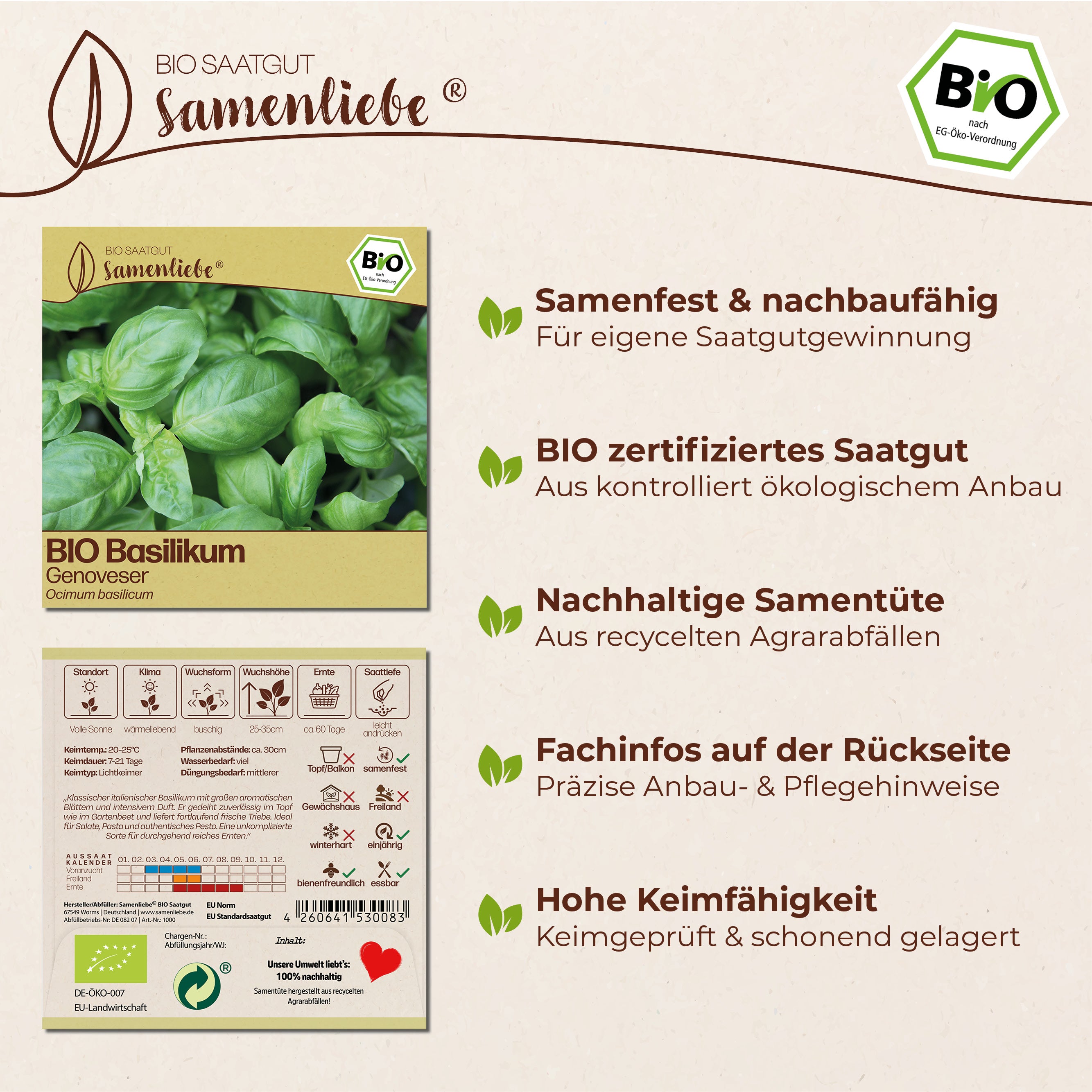 BIO Basilikum "italienischer Genoveser"