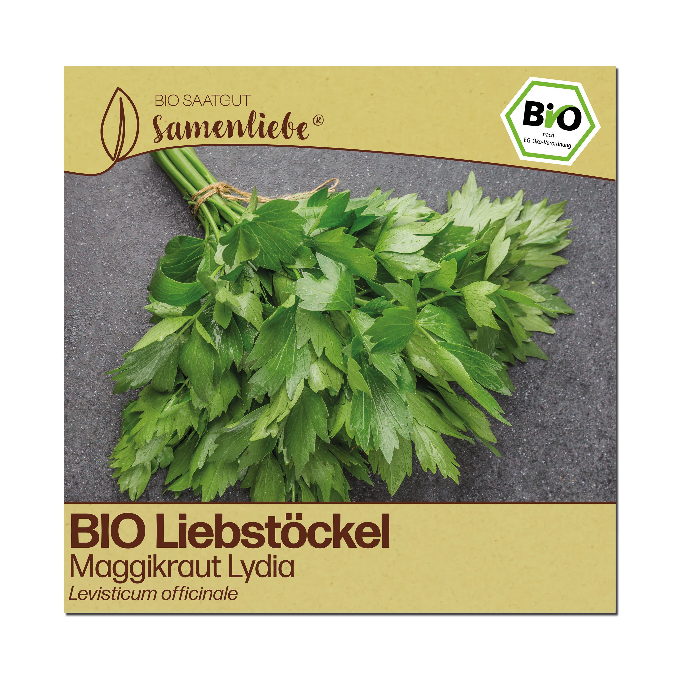 BIO Liebstöckel "Maggikraut Lydia"