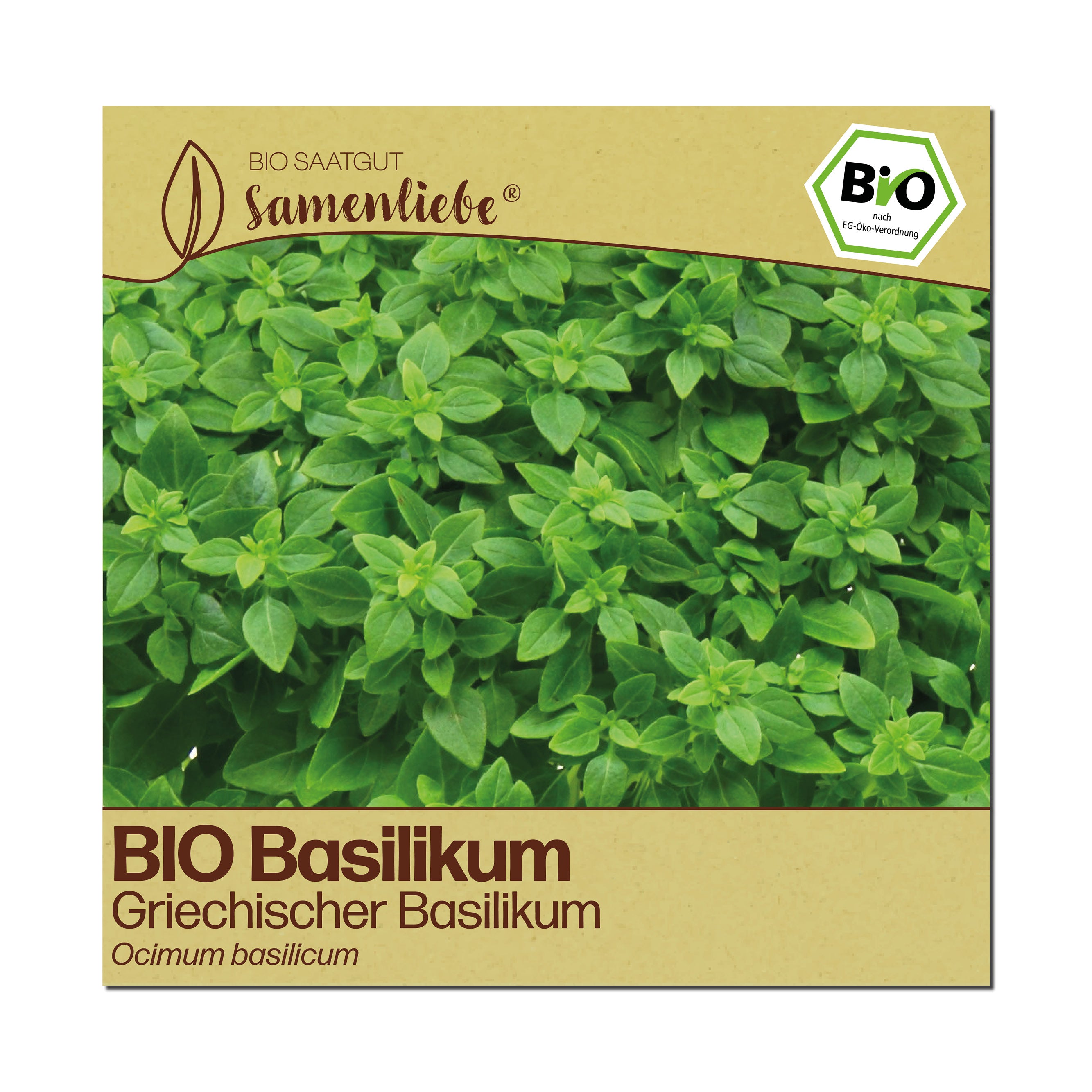 BIO Basilikum "Griechischer Buschbasilikum"