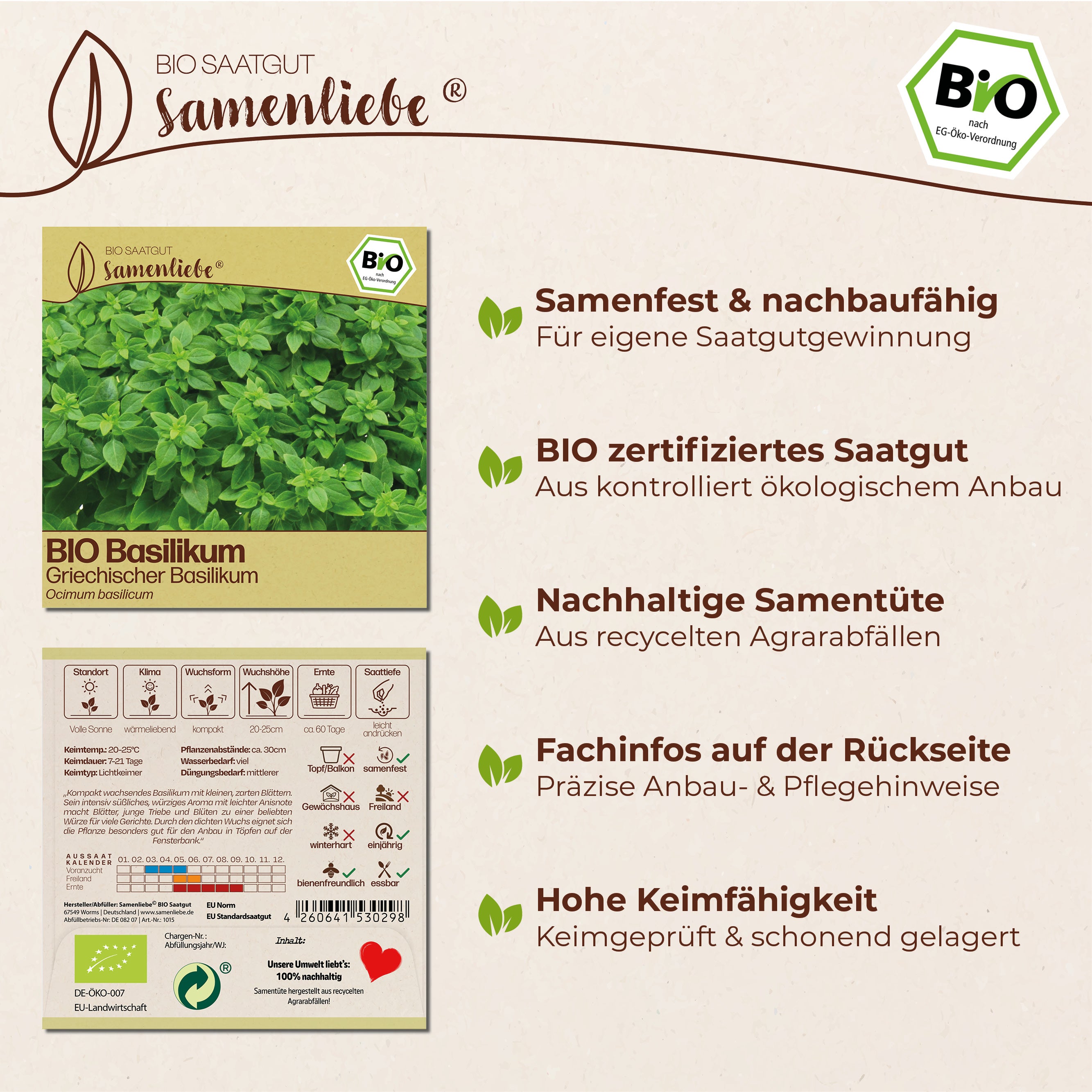 BIO Basilikum "Griechischer Buschbasilikum"