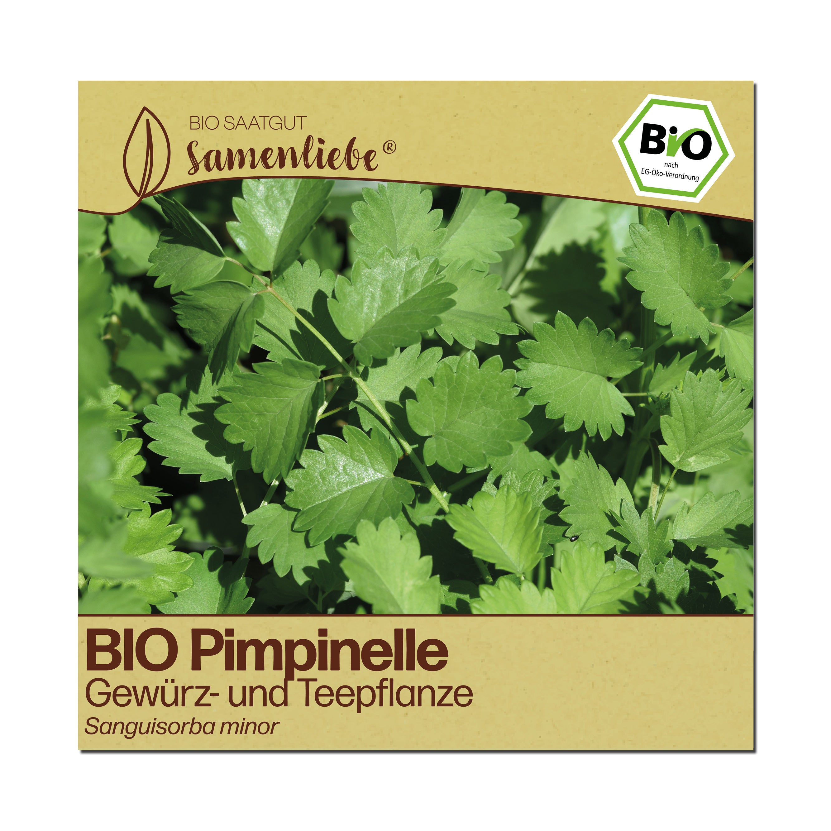 BIO Pimpinelle "Kleiner Wiesenknopf"