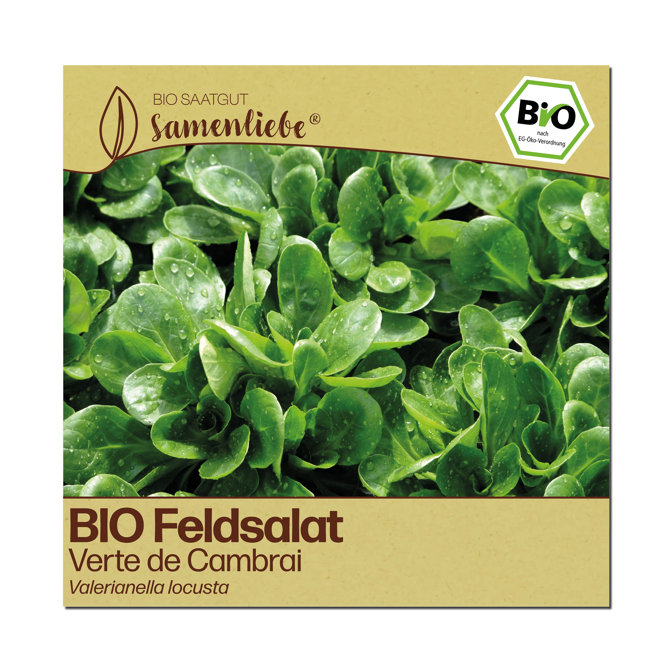 BIO Feldsalat "Verte de Cambrai"