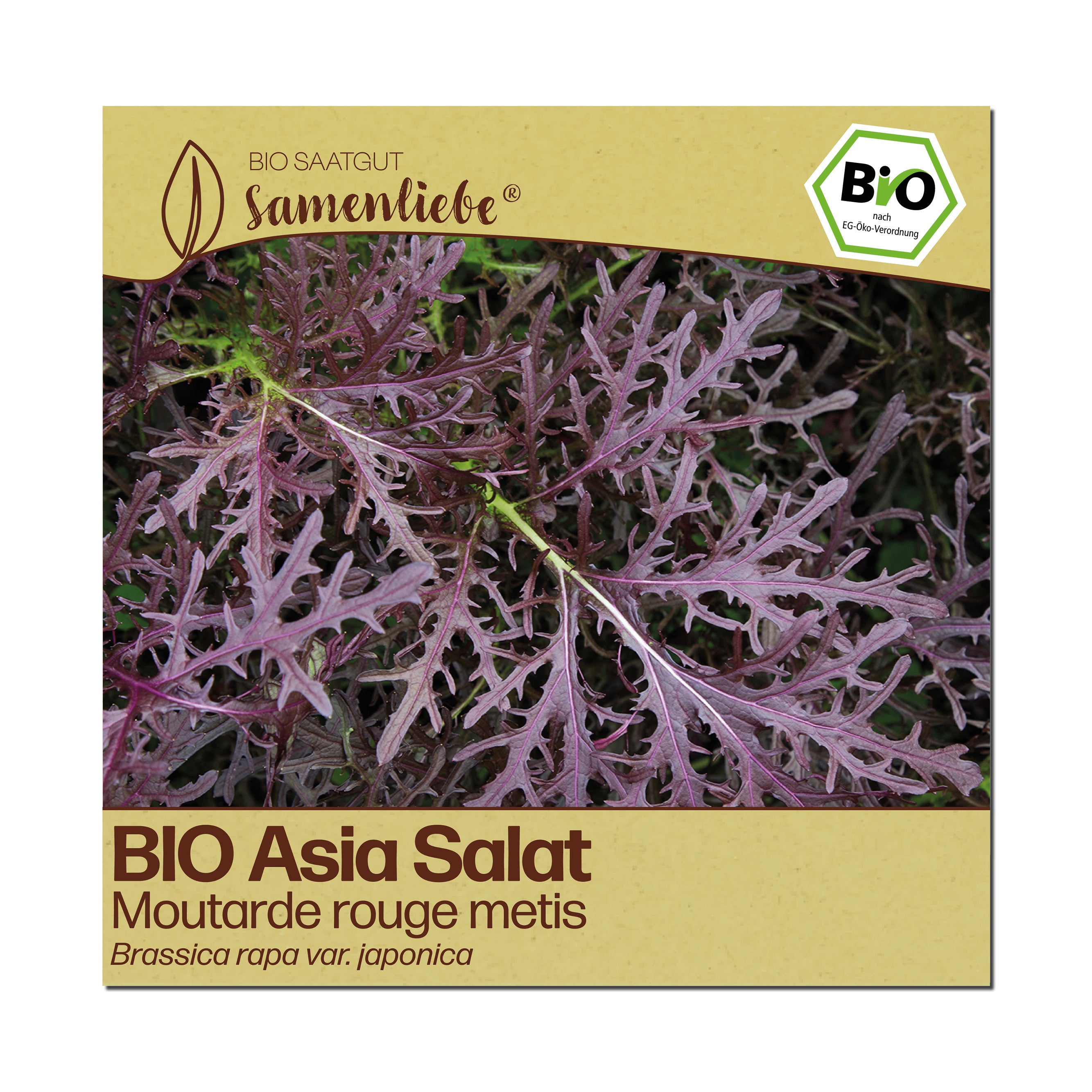 BIO Asia Salat "Moutarde rouge metis"