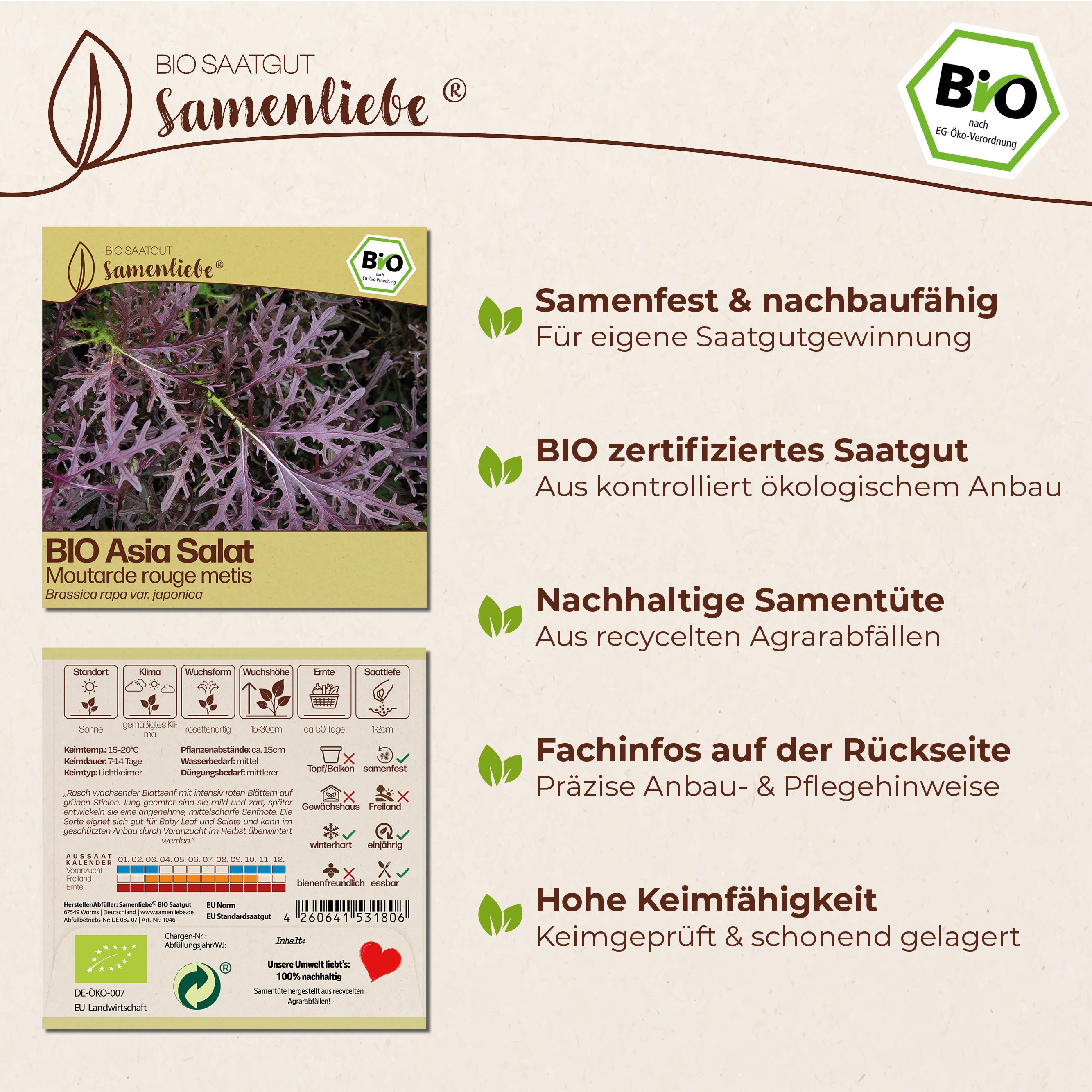 BIO Asia Salat "Moutarde rouge metis"