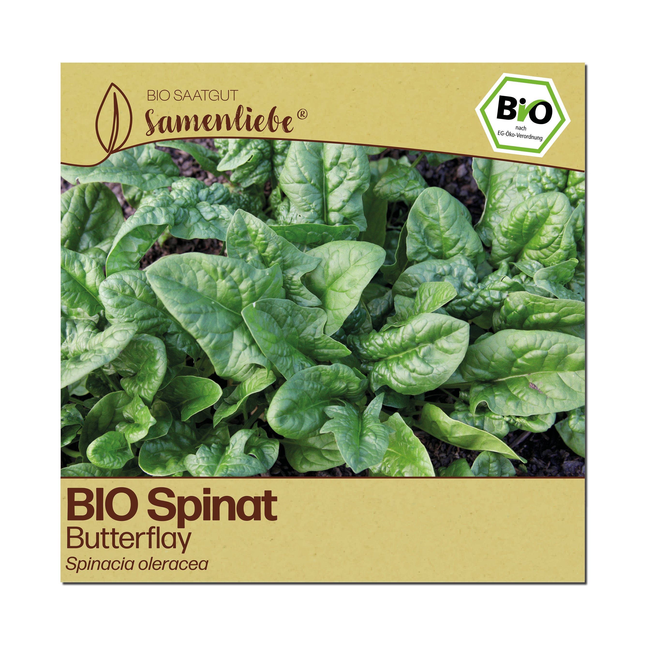 BIO Spinat "Butterflay"