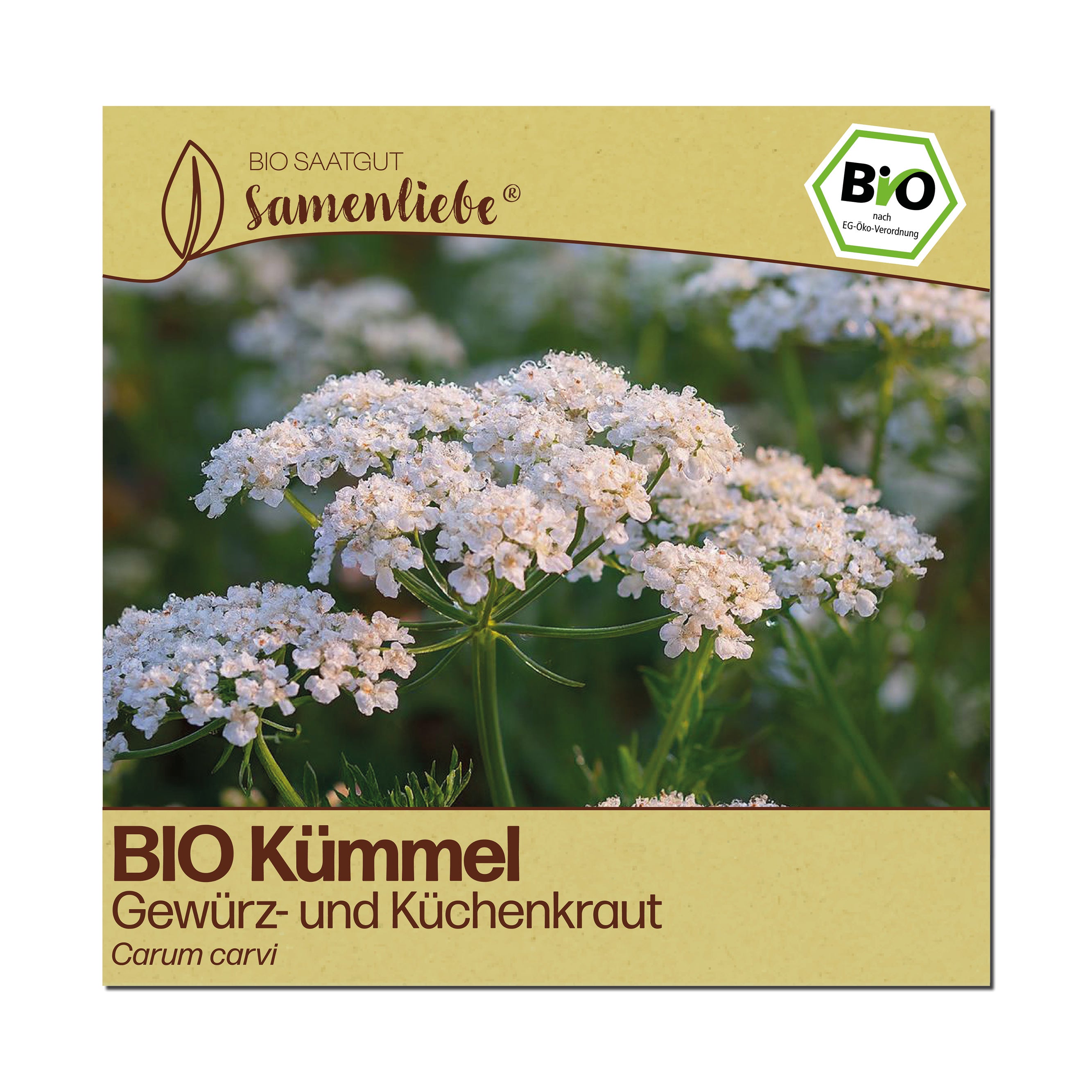 BIO Kümmel "Küchenkraut"