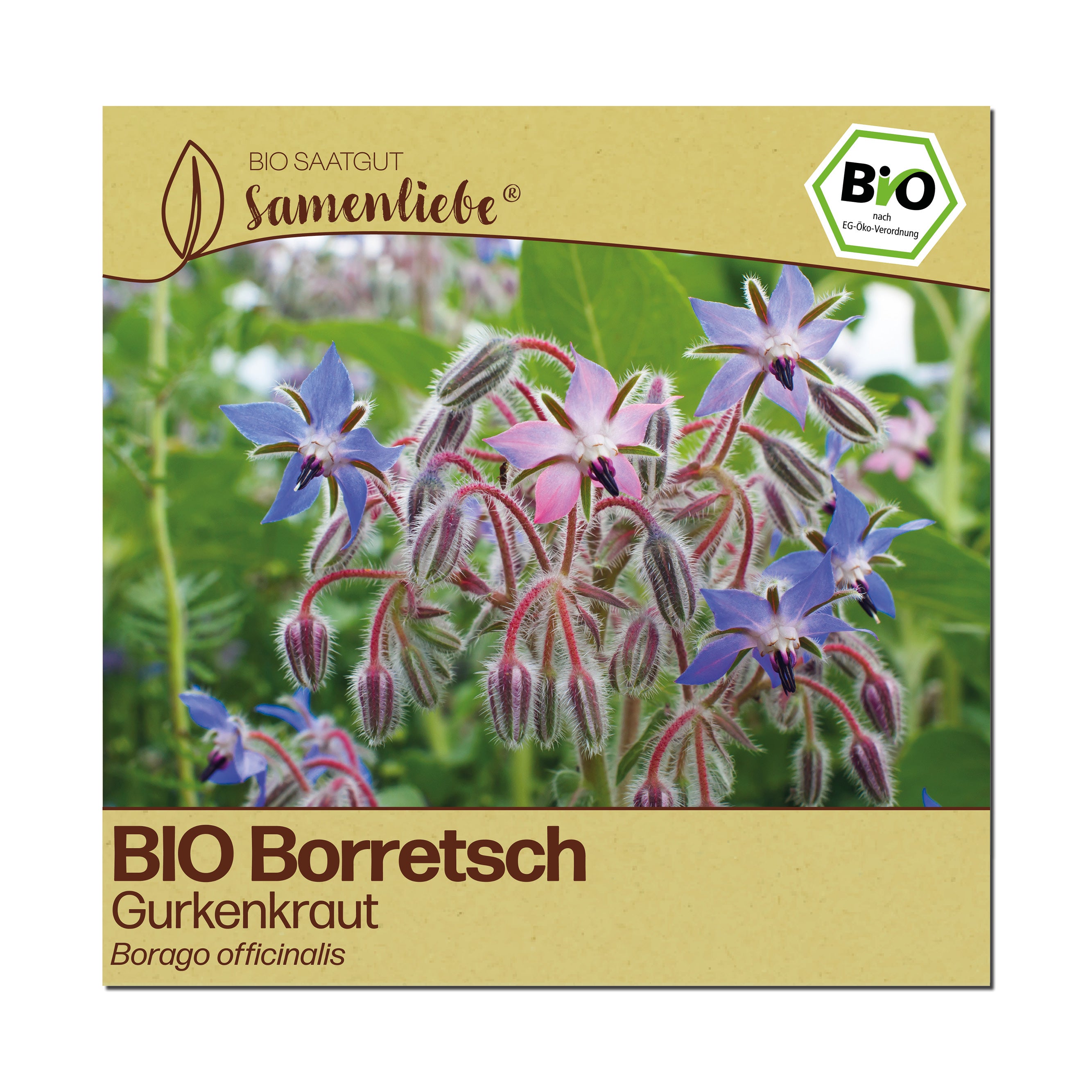 BIO Borretsch "Gurkenkraut"