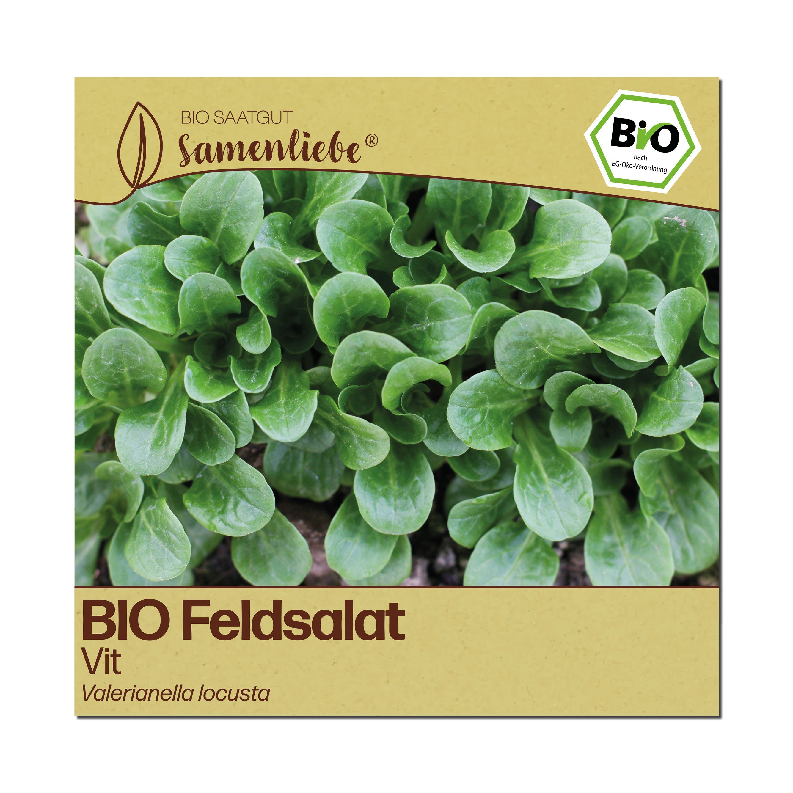 BIO Feldsalat "Vit"