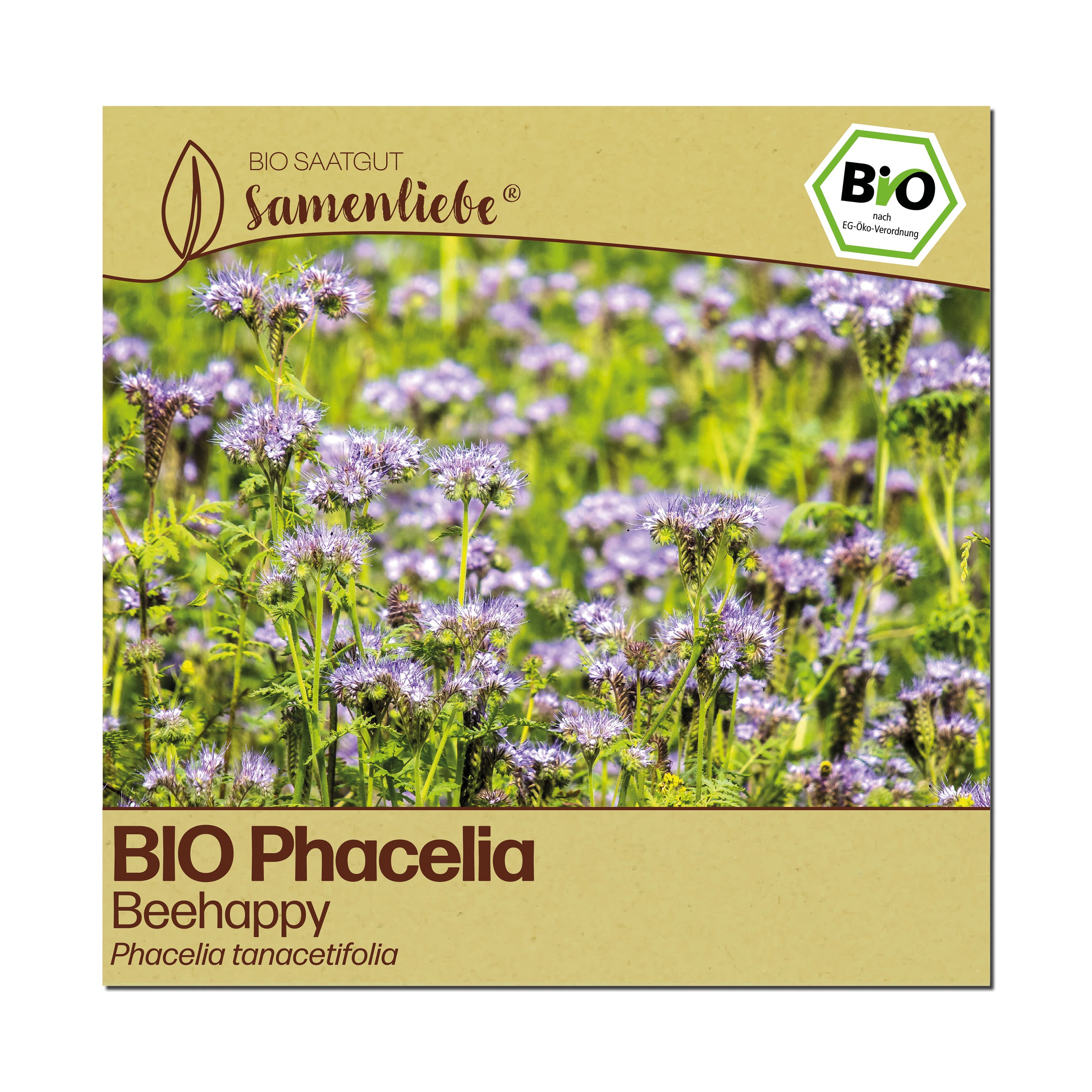 BIO Phacelia "Beehappy"