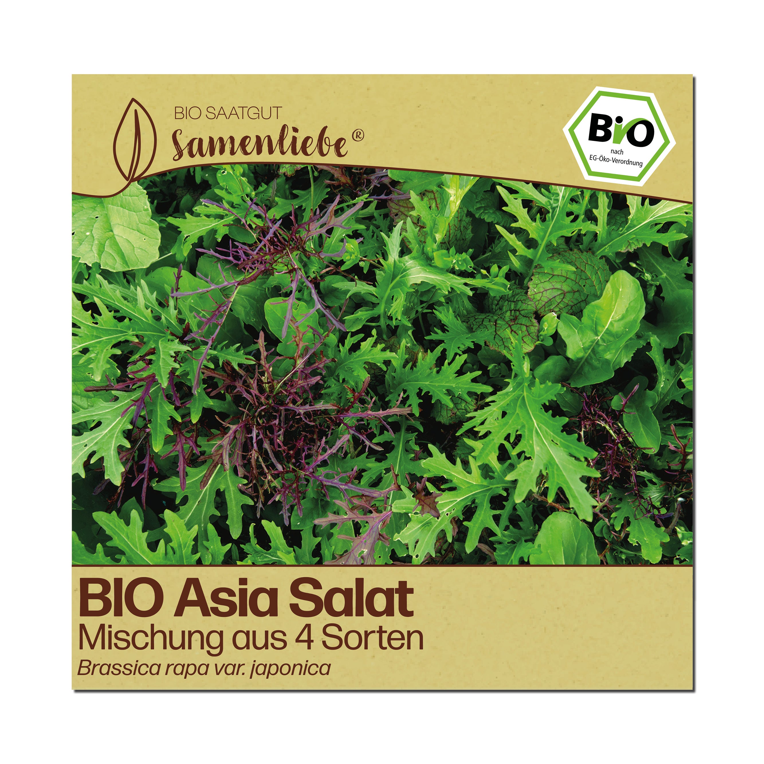 BIO Asia Salat "4 Sorten Mix"