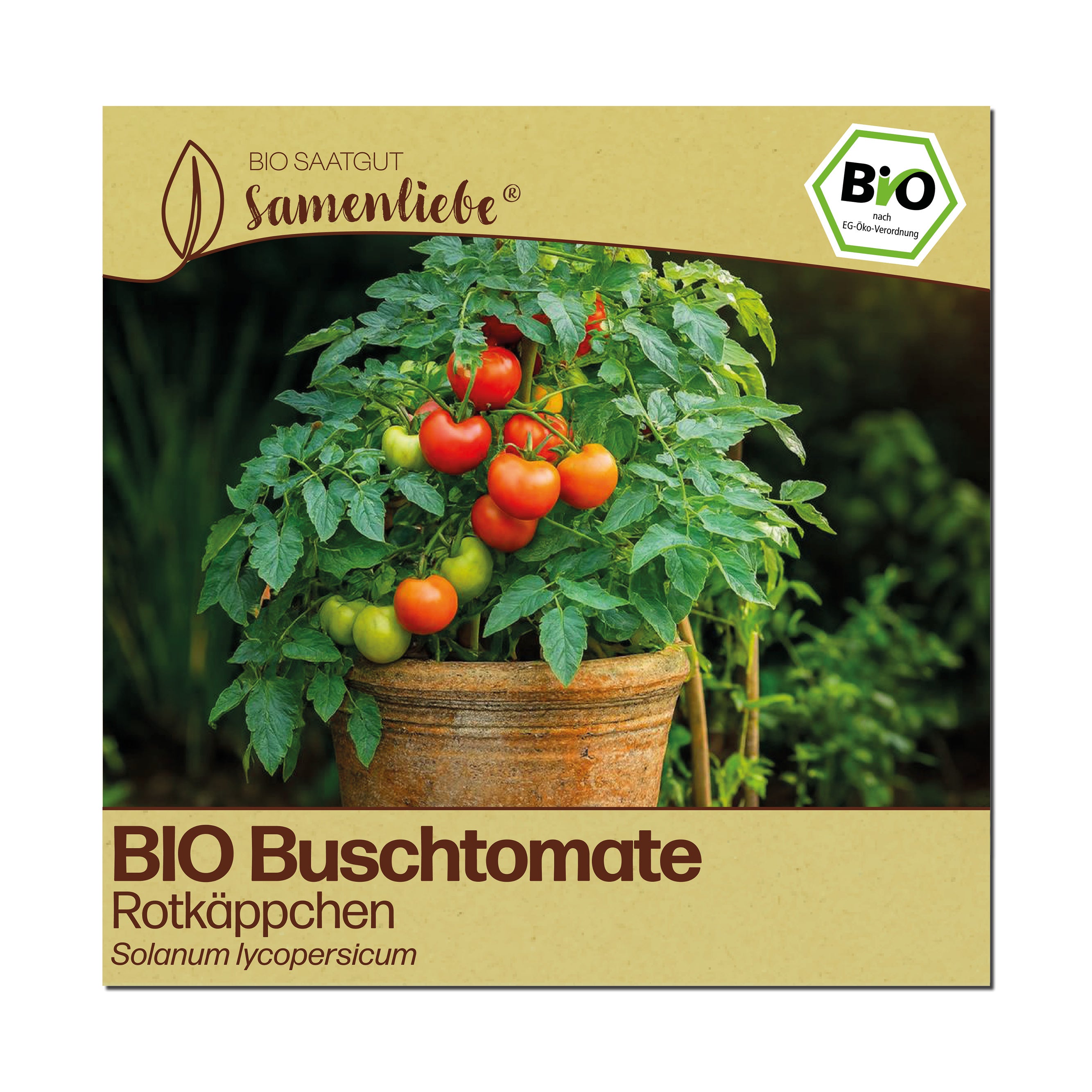 BIO Tomate "Rotkäppchen"