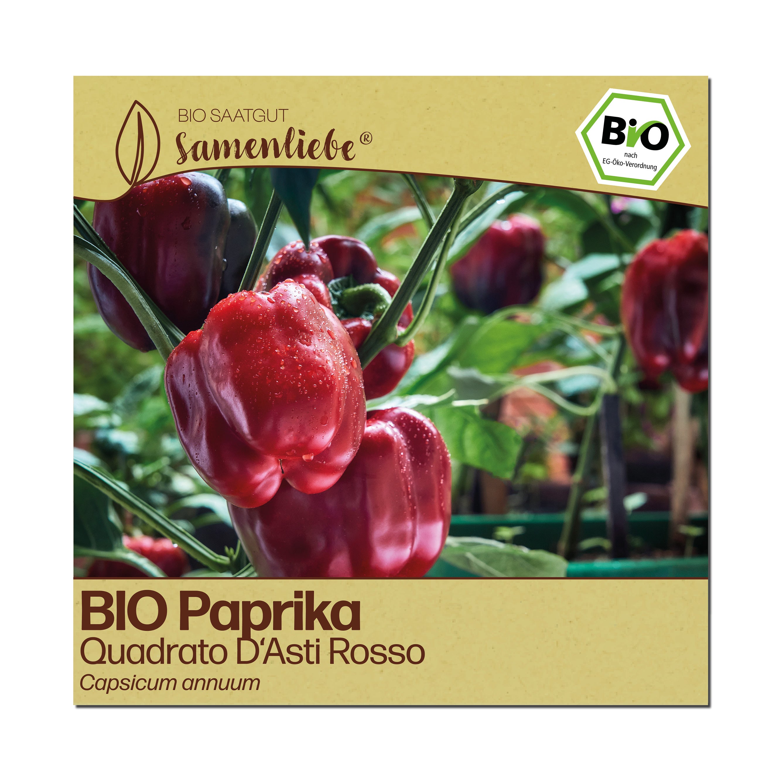BIO Paprika "Quadrato D&