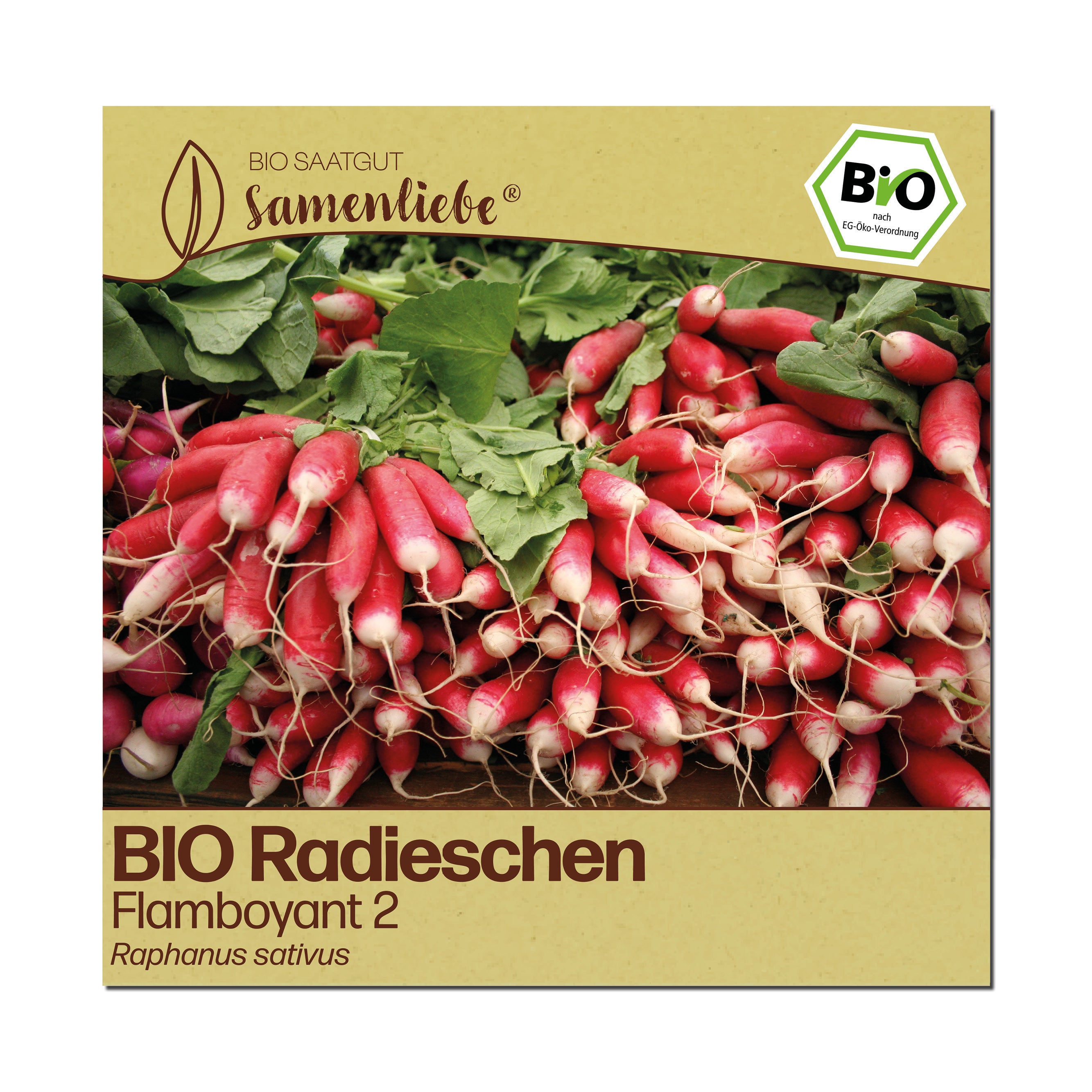 BIO Radieschen "Flamboyant 2"