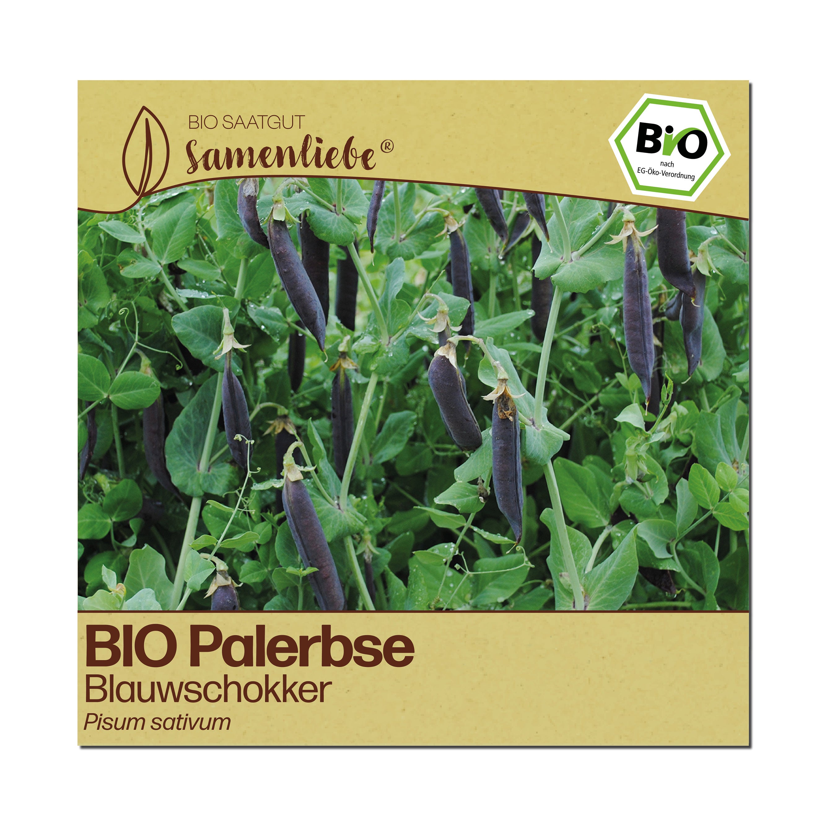 BIO Erbse "Blauwschokker"