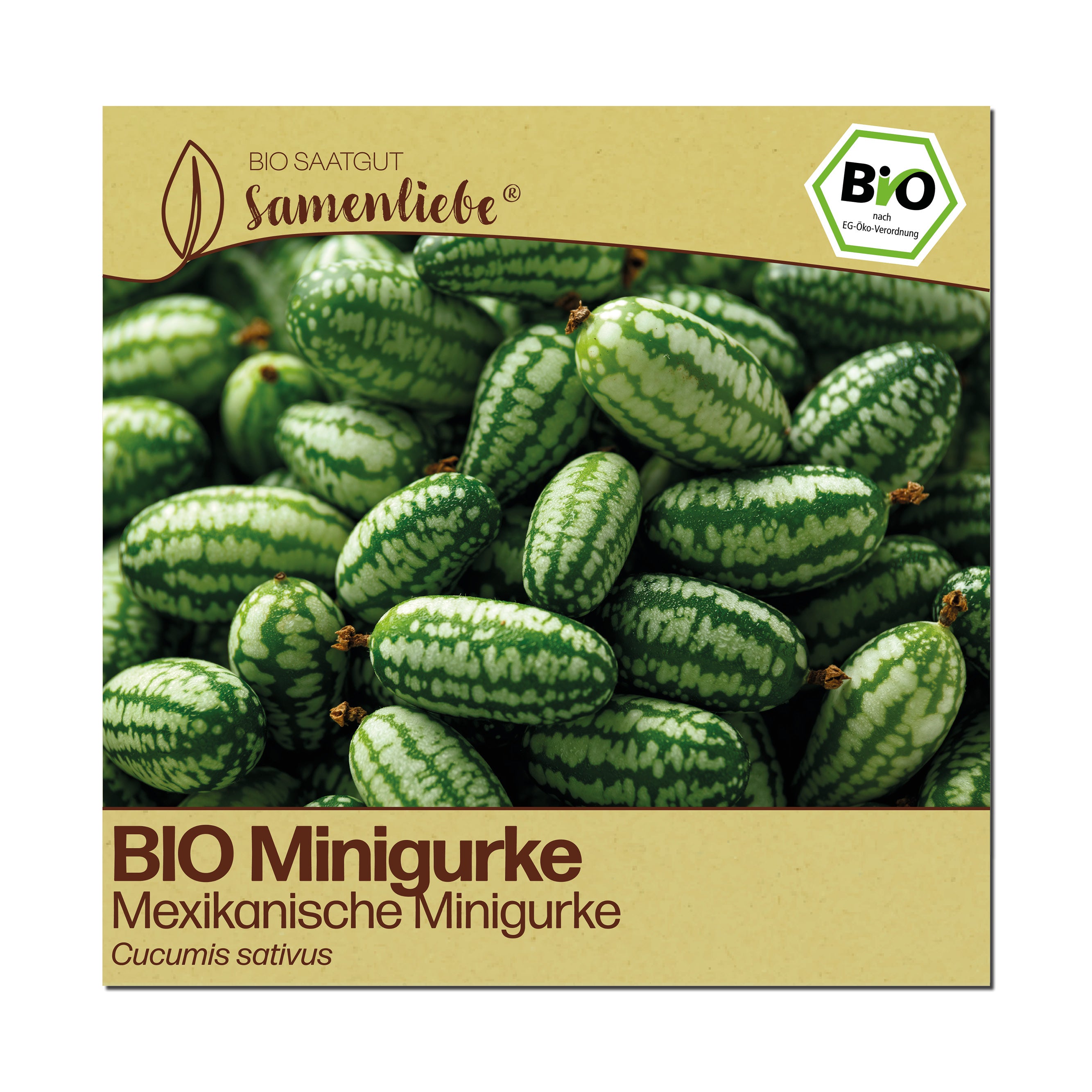 BIO Gurke "Mexikanische Minigurke"