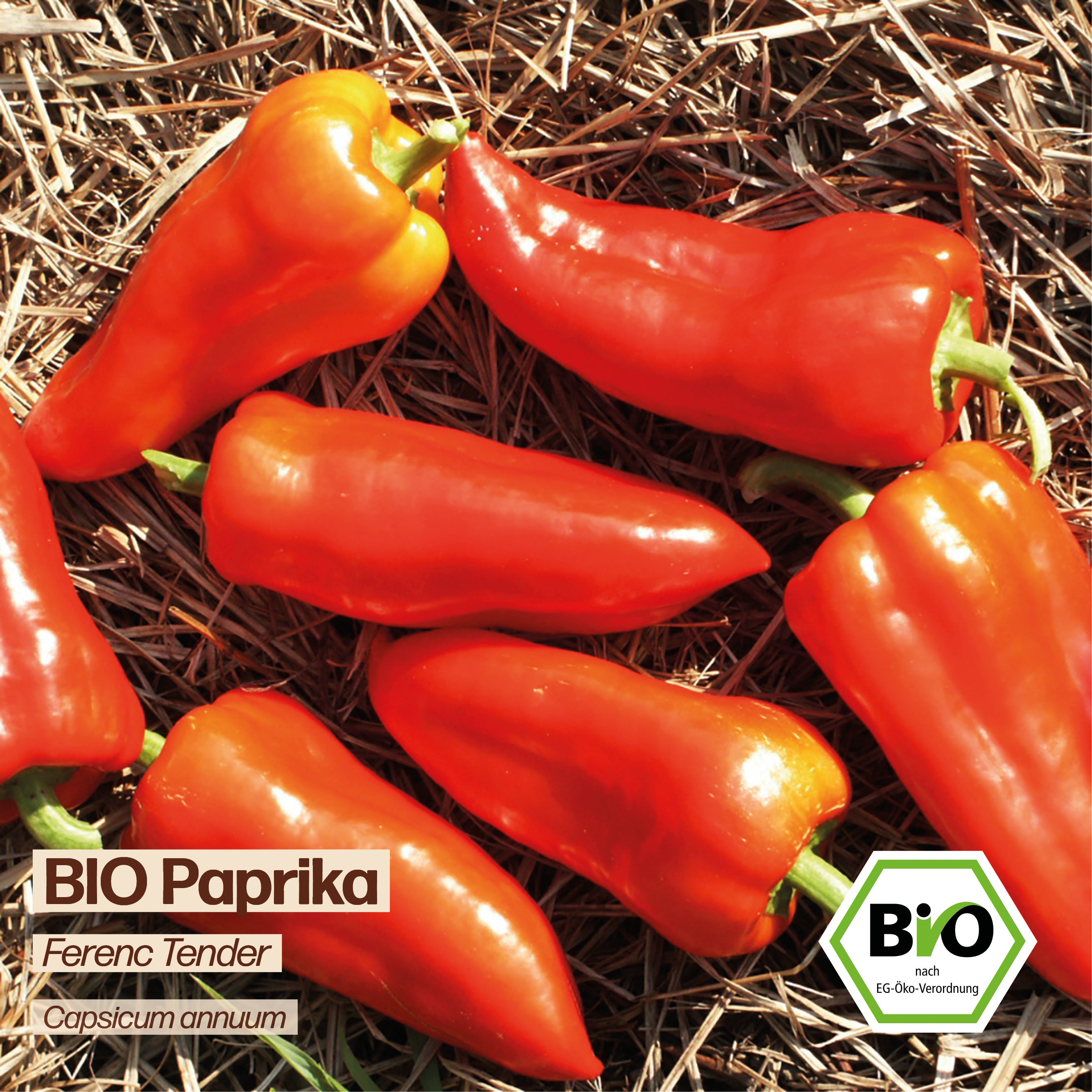 BIO Paprika "Ferenc Tender"