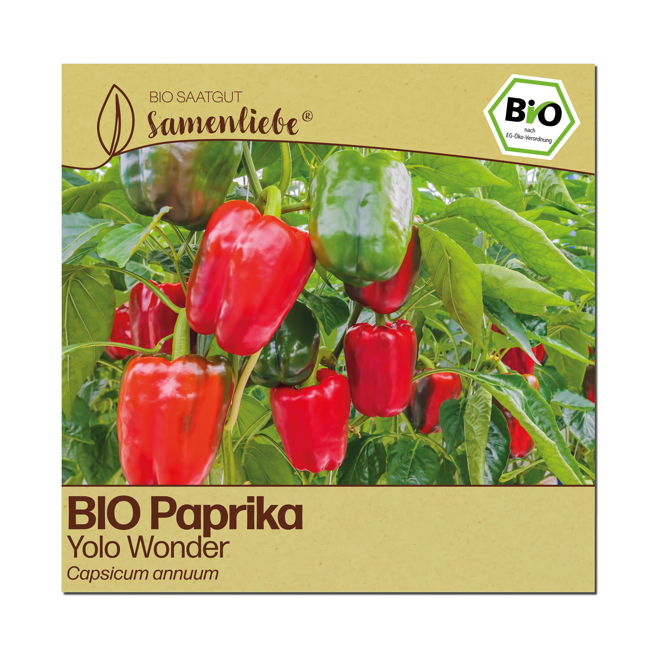 BIO Paprika "Yolo Wonder"