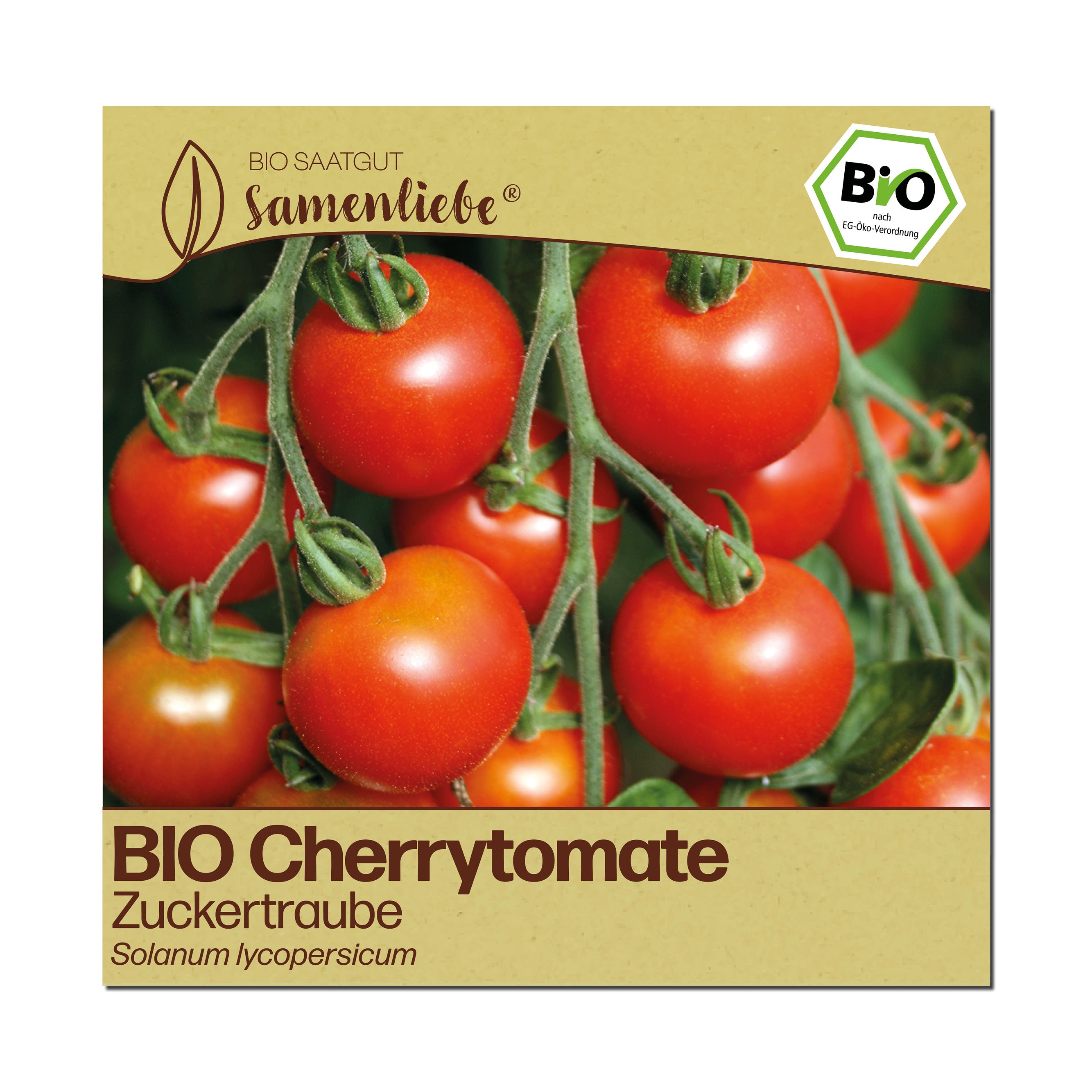 BIO Tomate "Cherrytomate Zuckertraube"