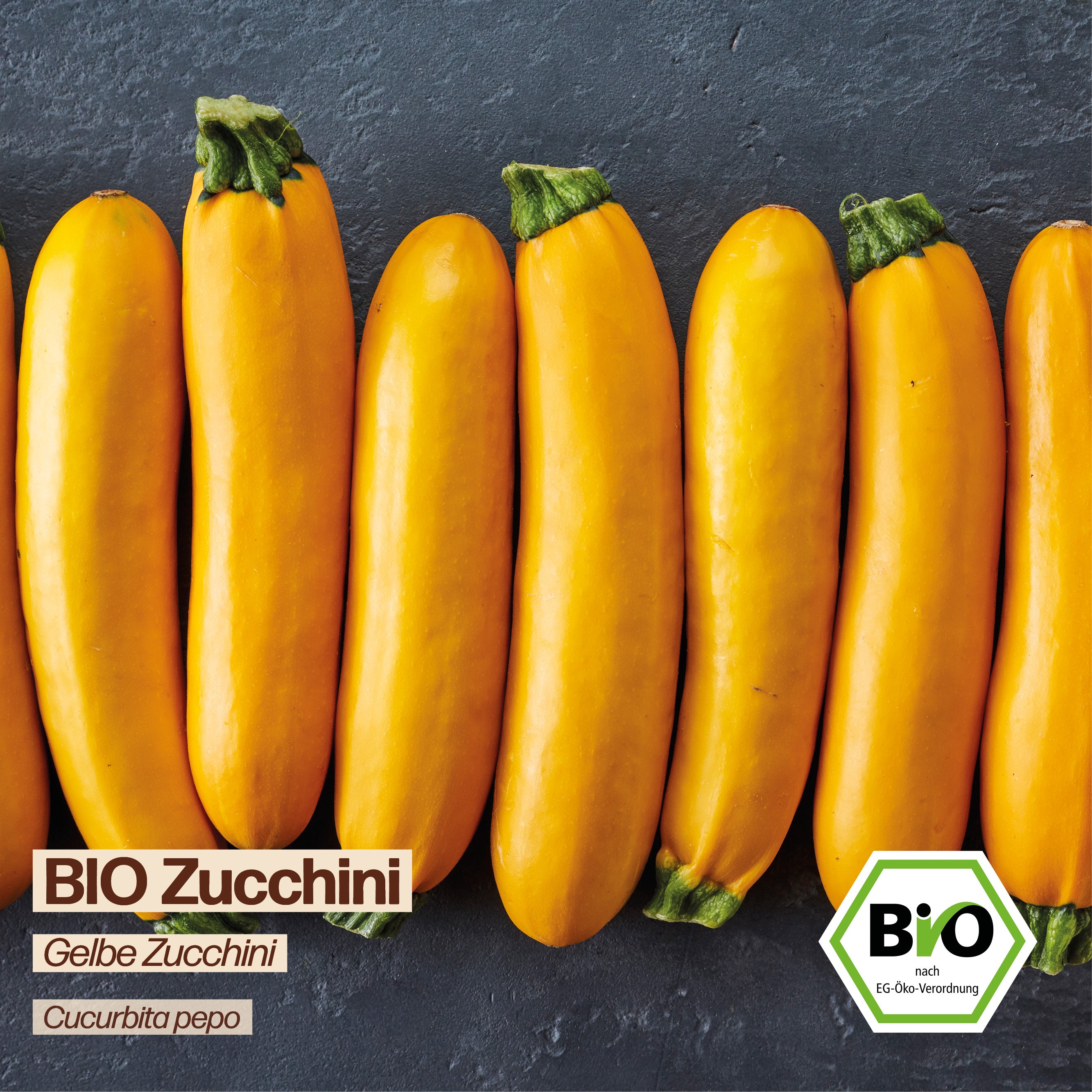 BIO Zucchini "Gelbe Zucchini"