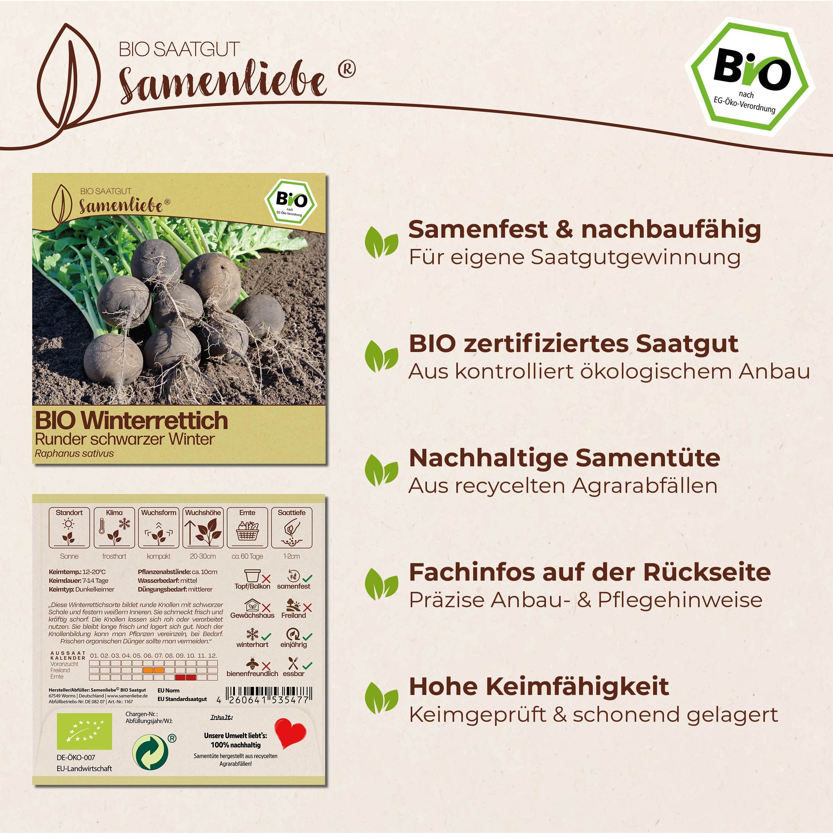 BIO Rettich "Runder schwarzer Winter"