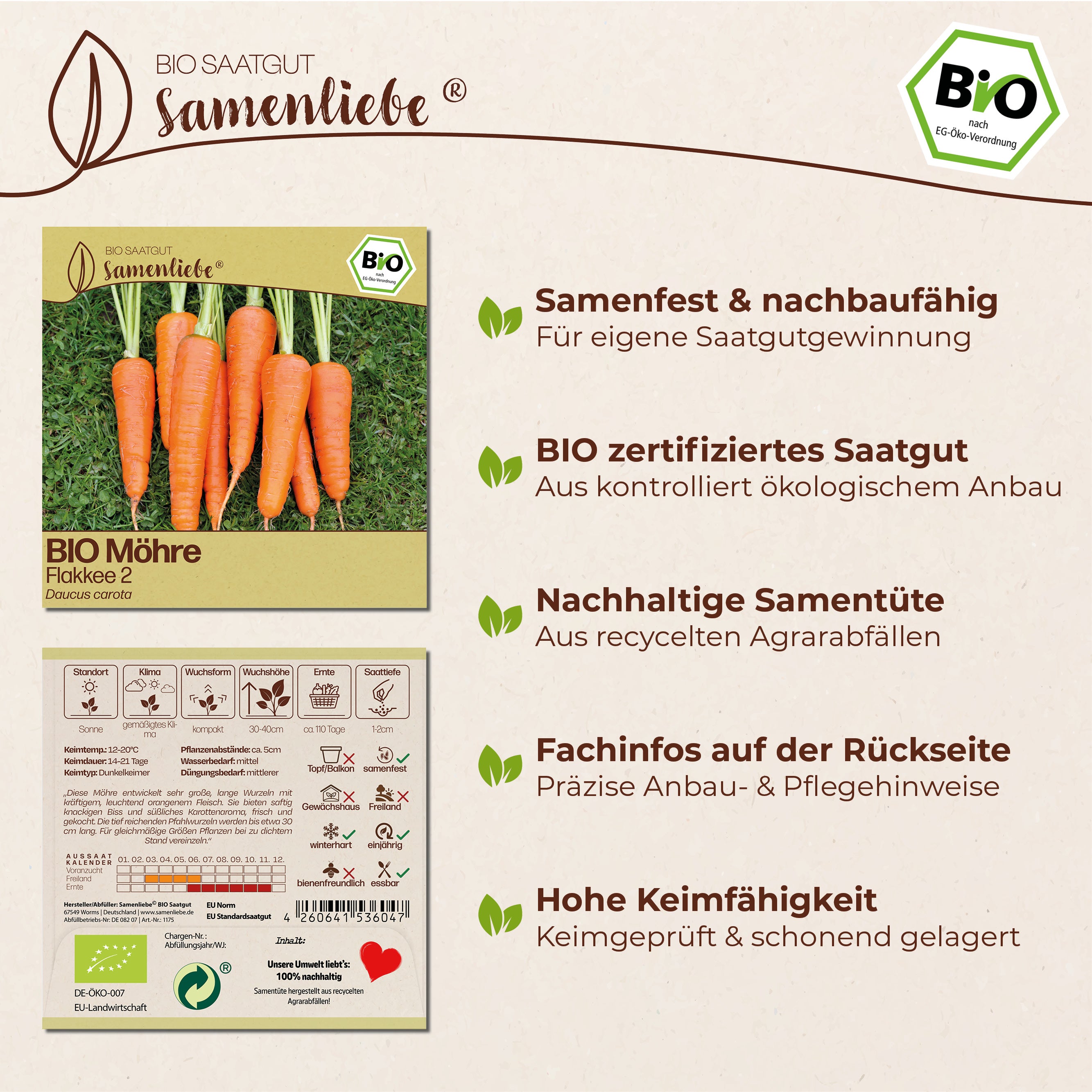 BIO Karotte "Flakkee 2"