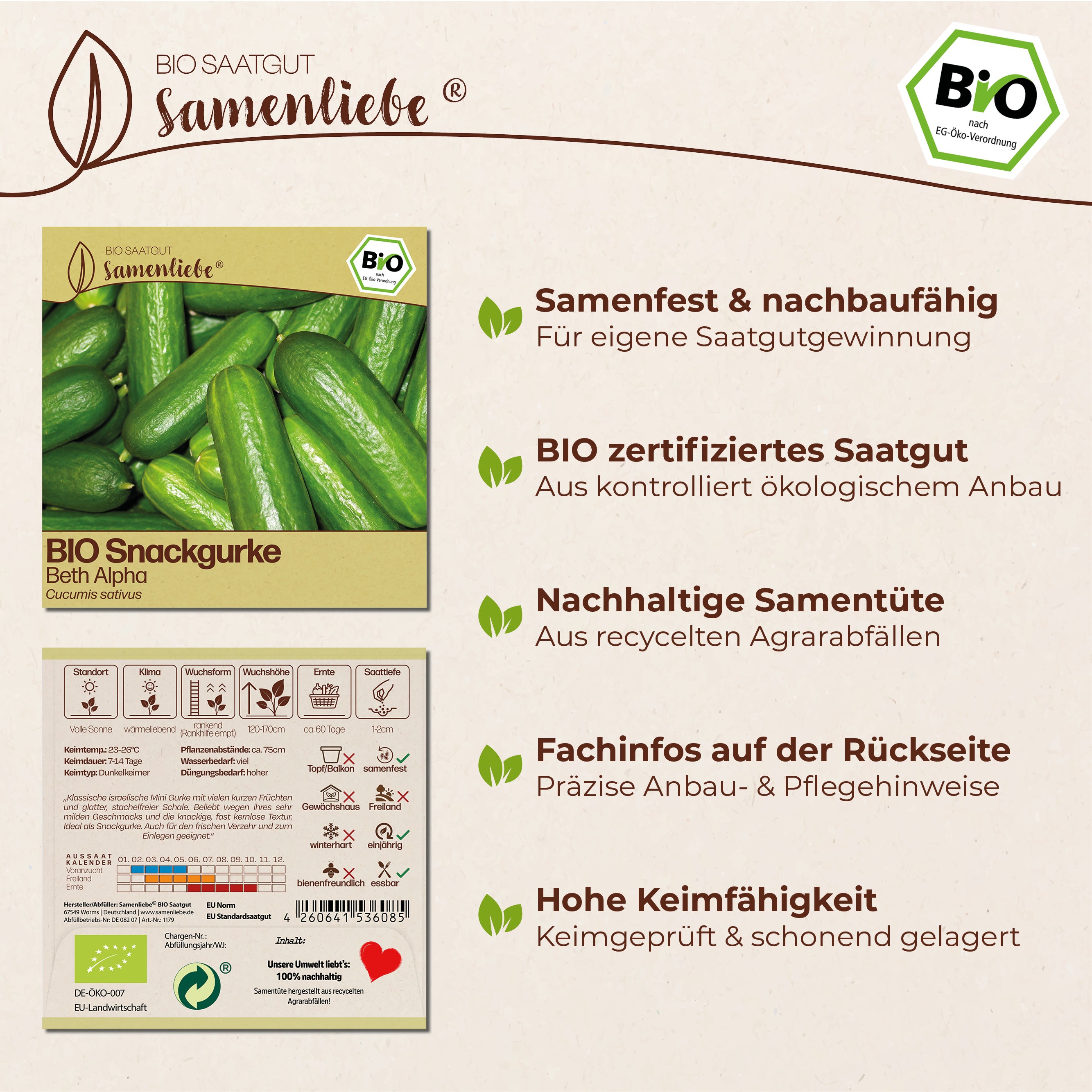 BIO Gurke "Beth Alpha"