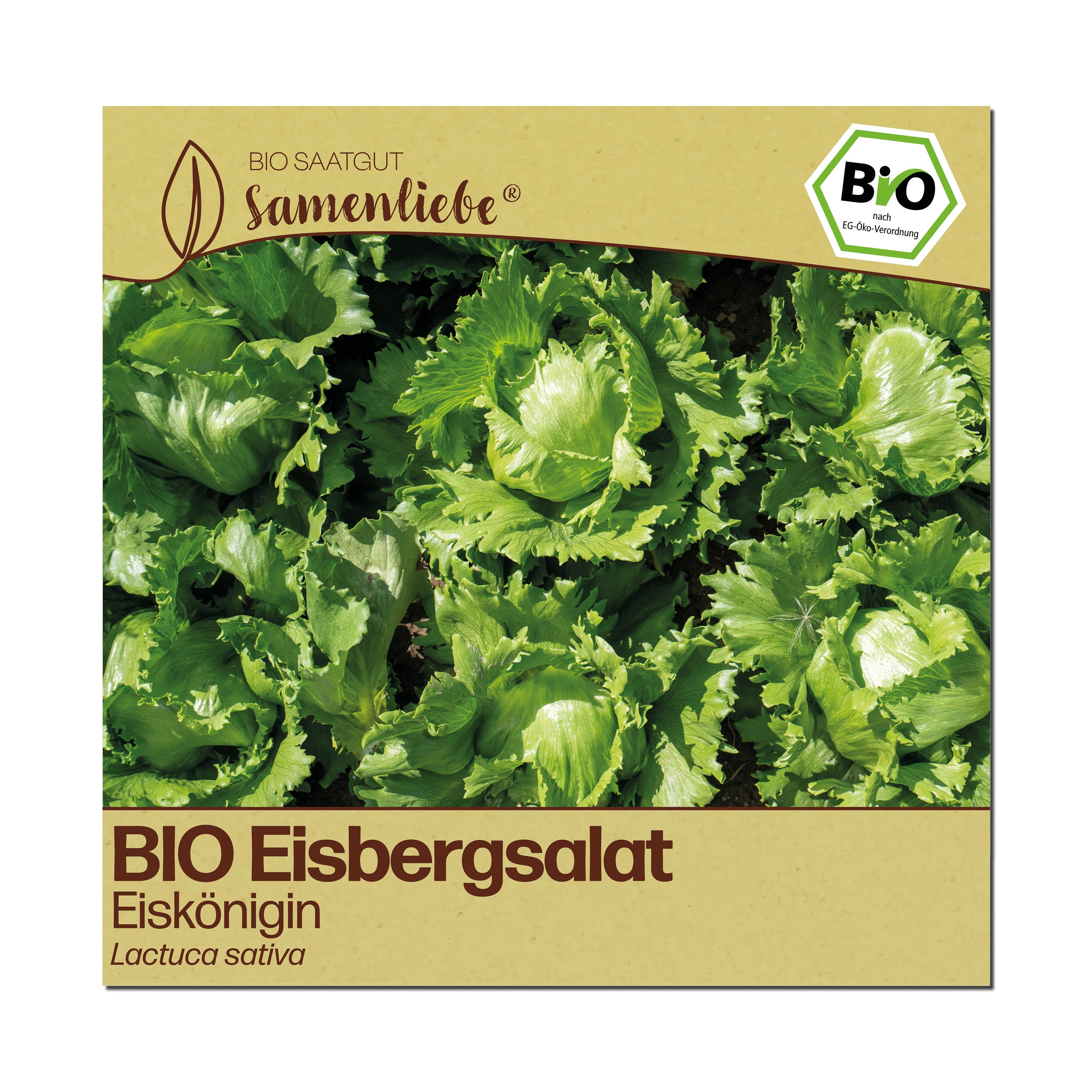 BIO Salat "Eiskönigin"