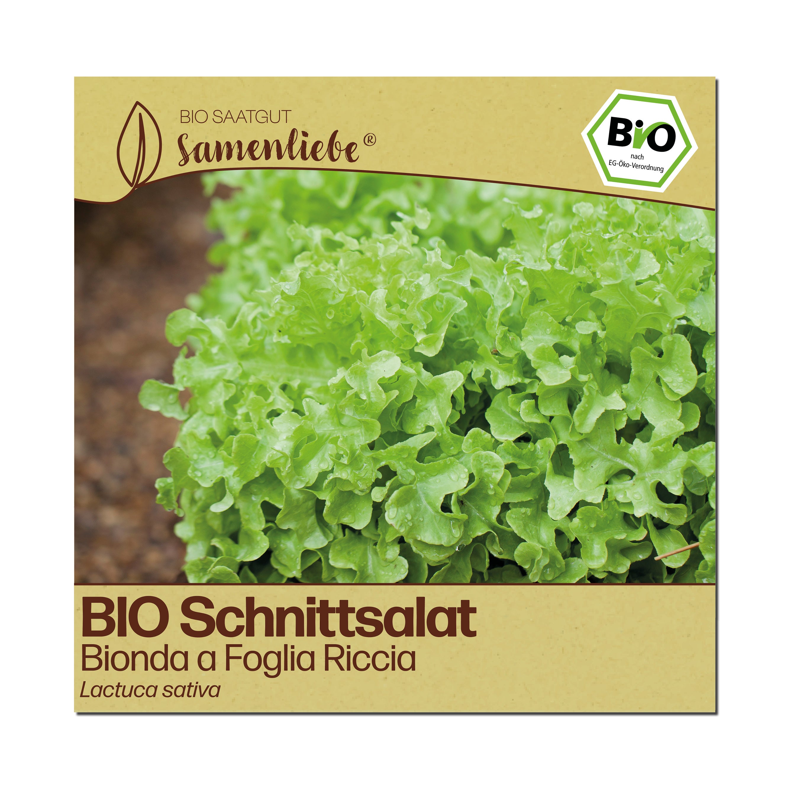 BIO Salat "Bionda a Foglia Riccia"