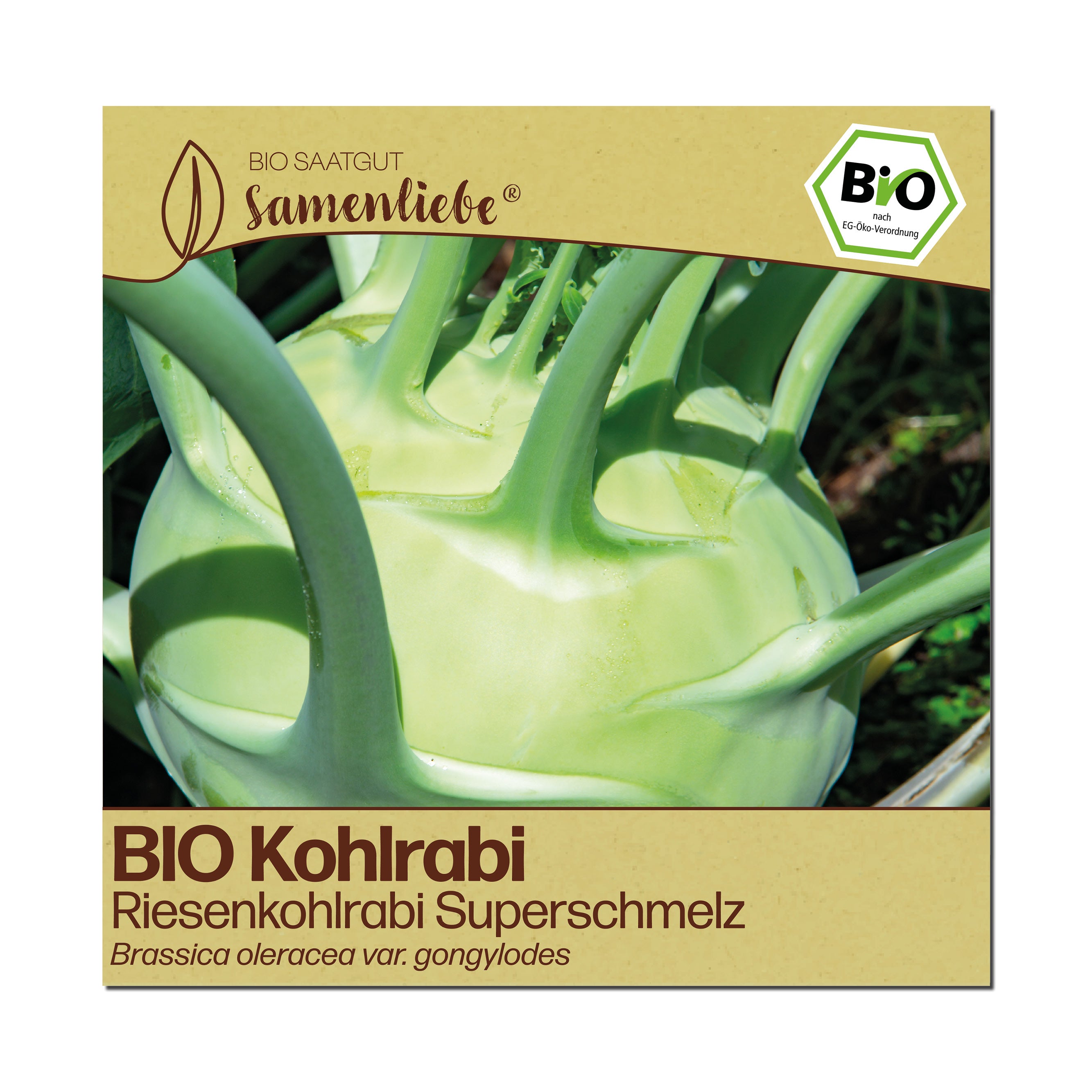 BIO Kohlrabi "Superschmelz"