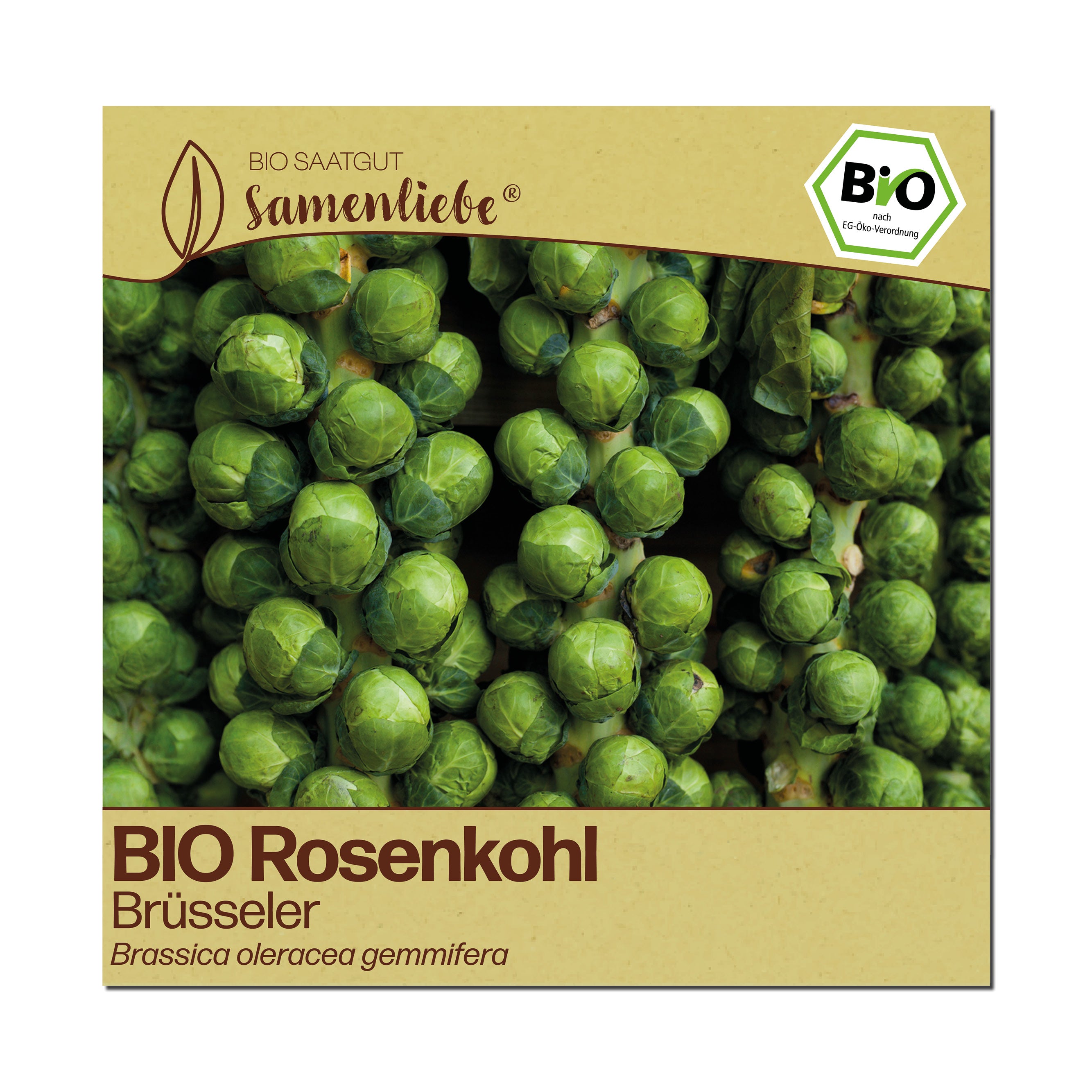 BIO Rosenkohl "Brüsseler Rosenkohl"