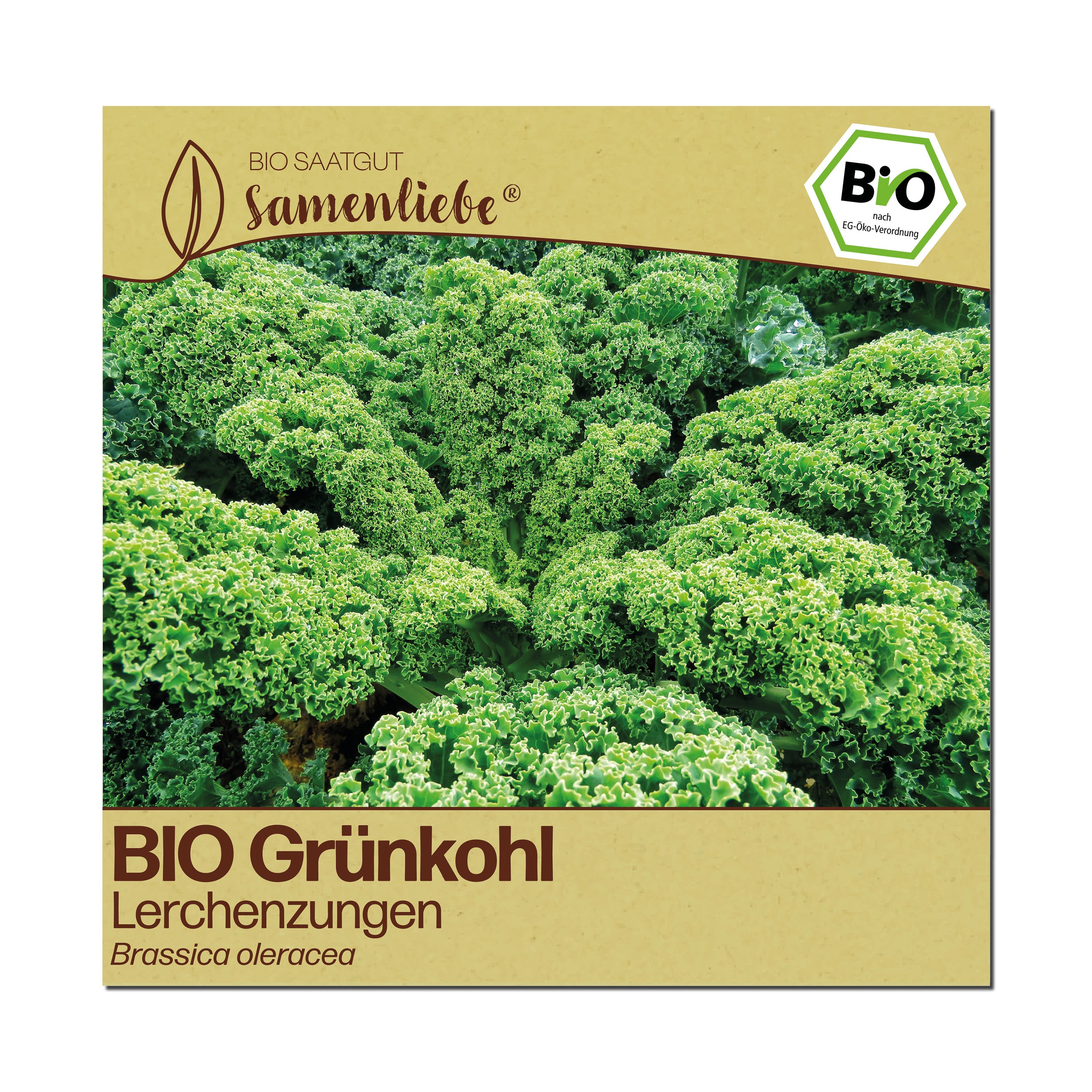 BIO Grünkohl "Lerchenzungen"