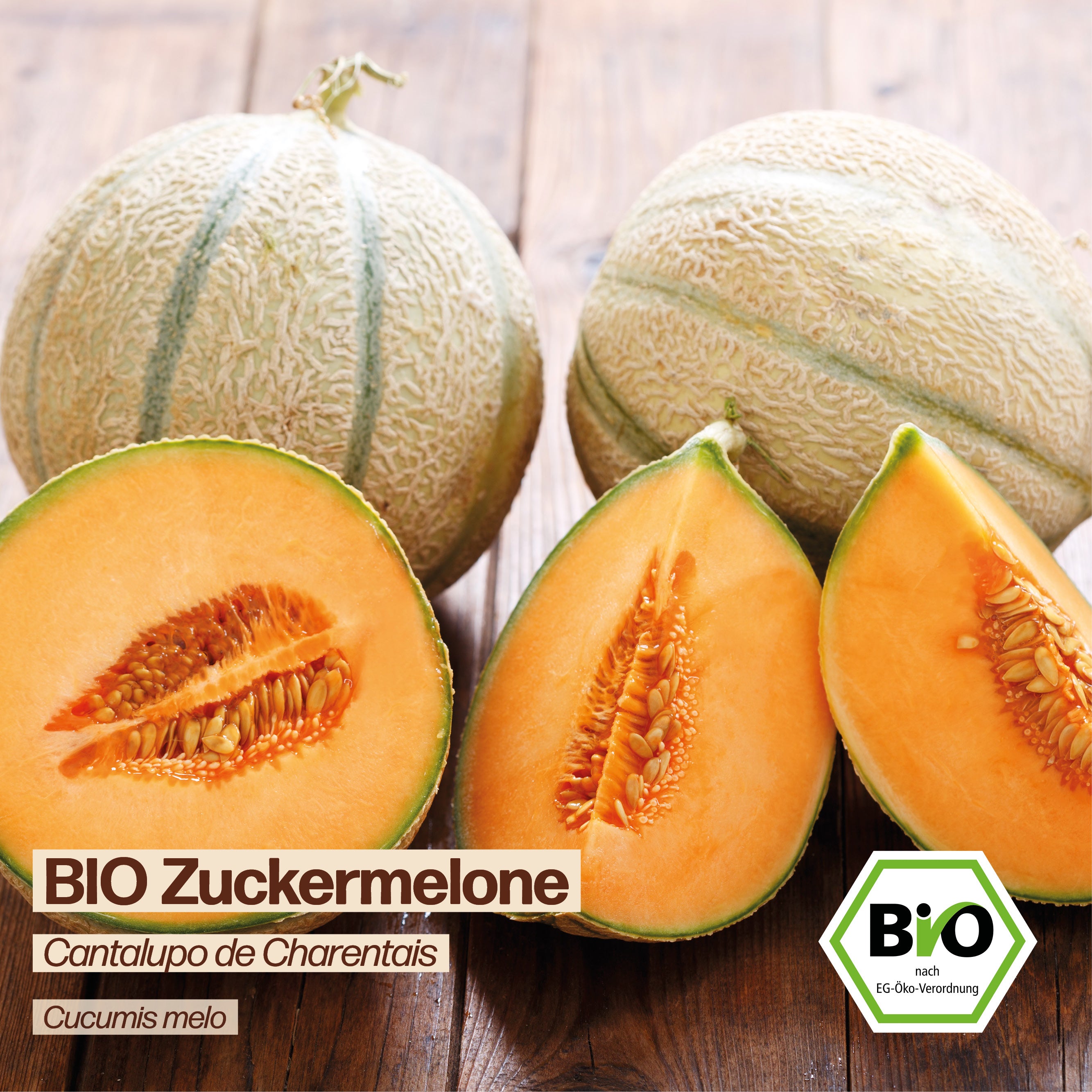 BIO Melone "Cantaloupe"
