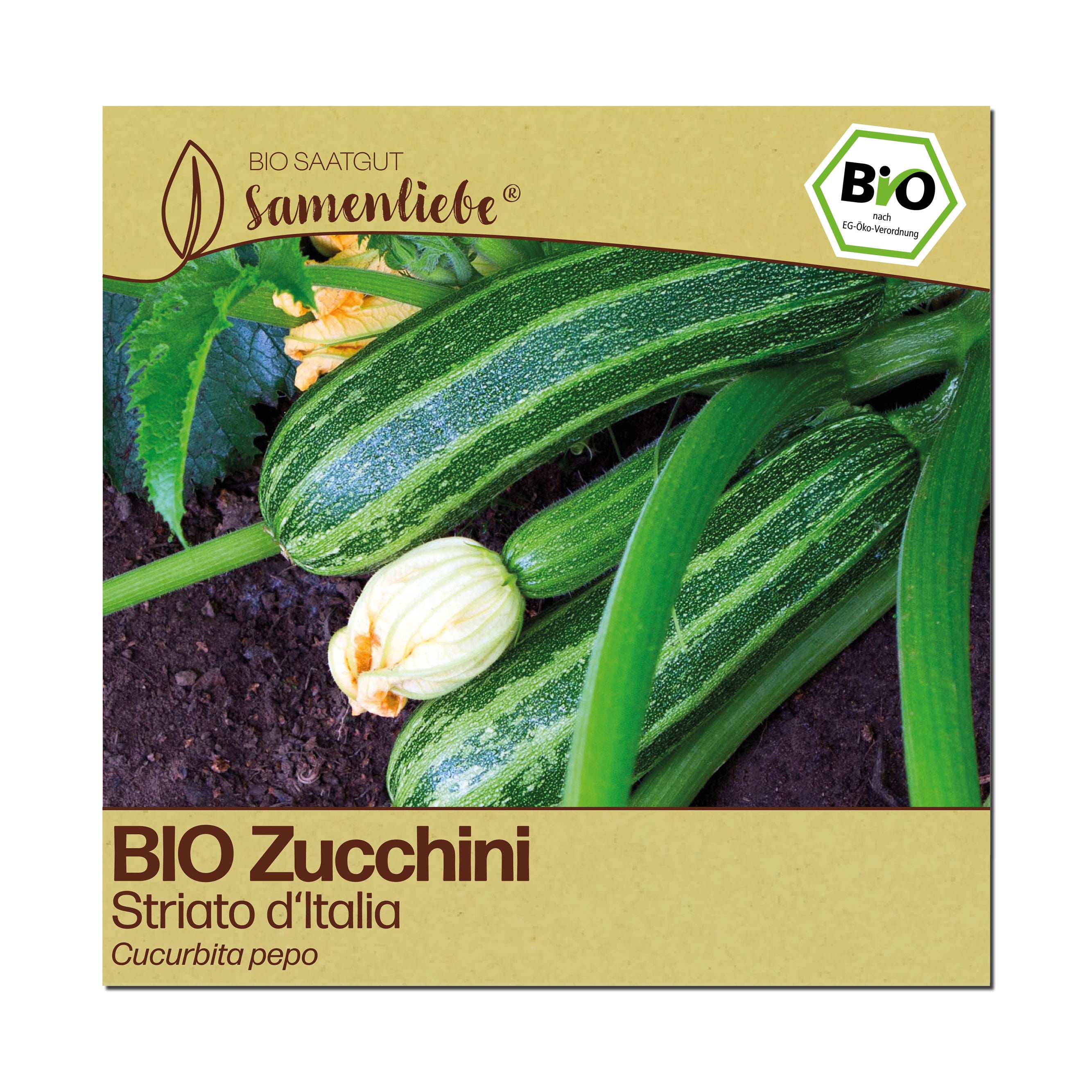 BIO Zucchini "Striato d&