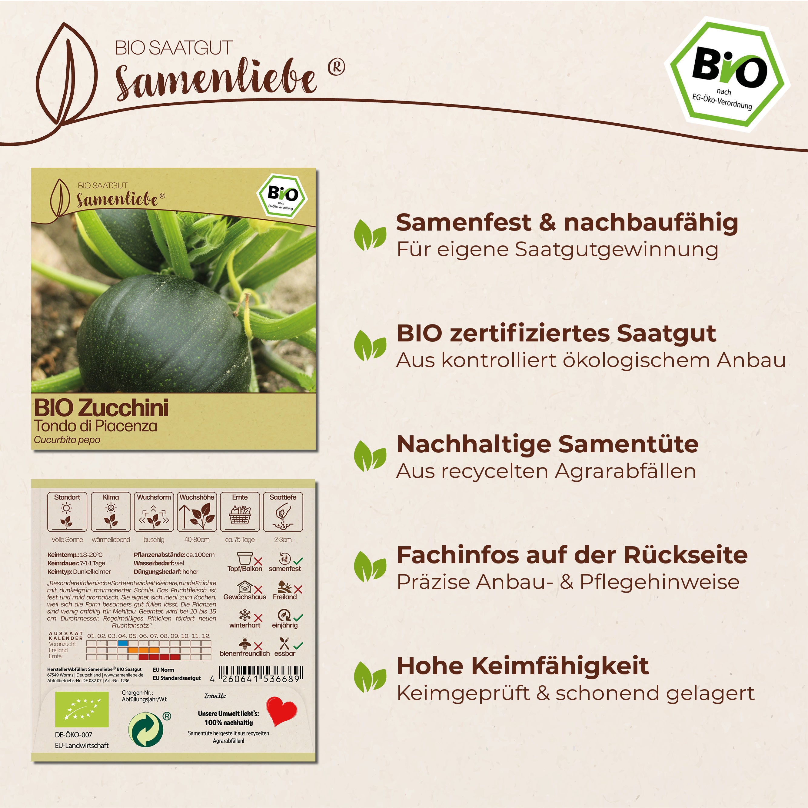 BIO Zucchini "Tondo di Piacenza"
