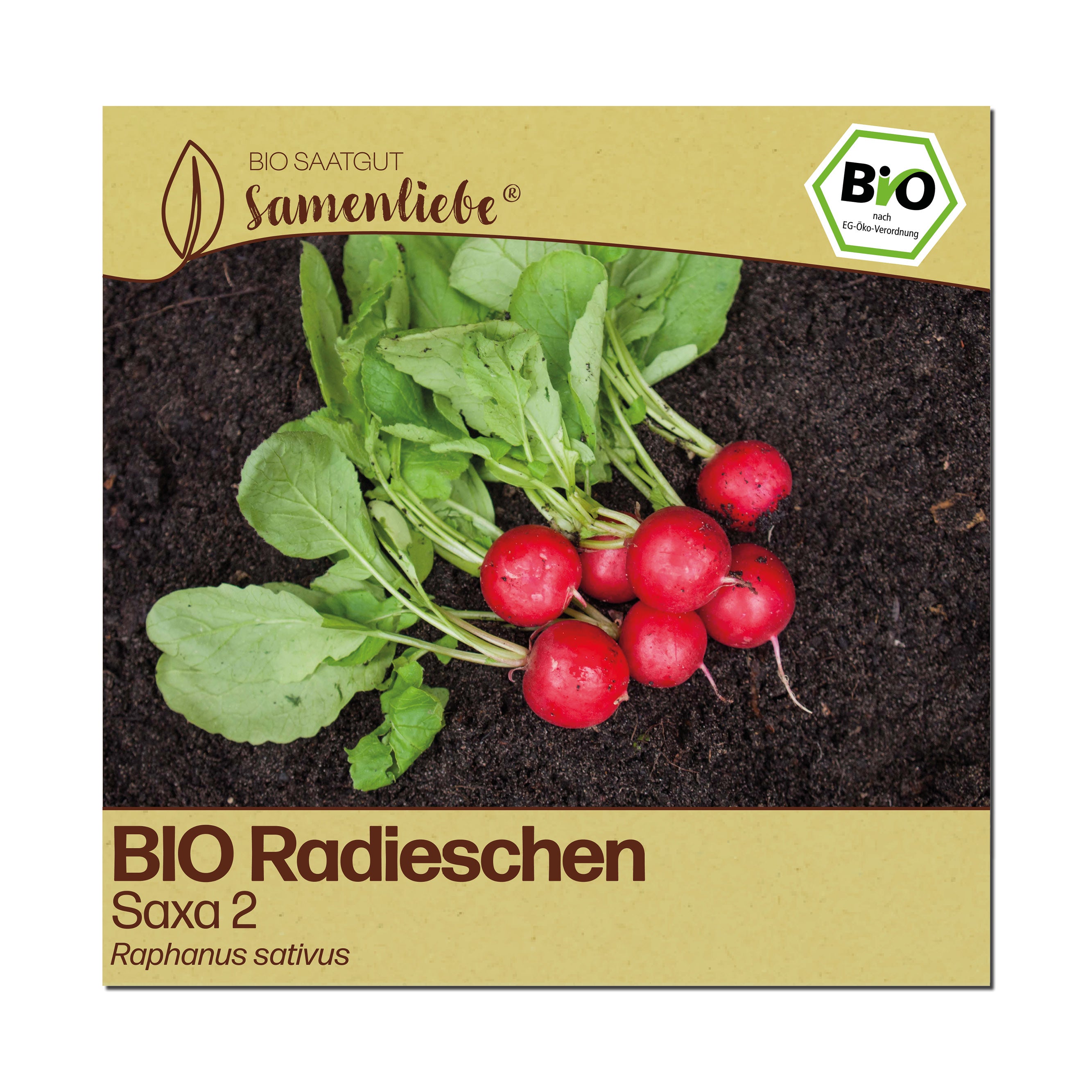 BIO Radieschen "Saxa 2"