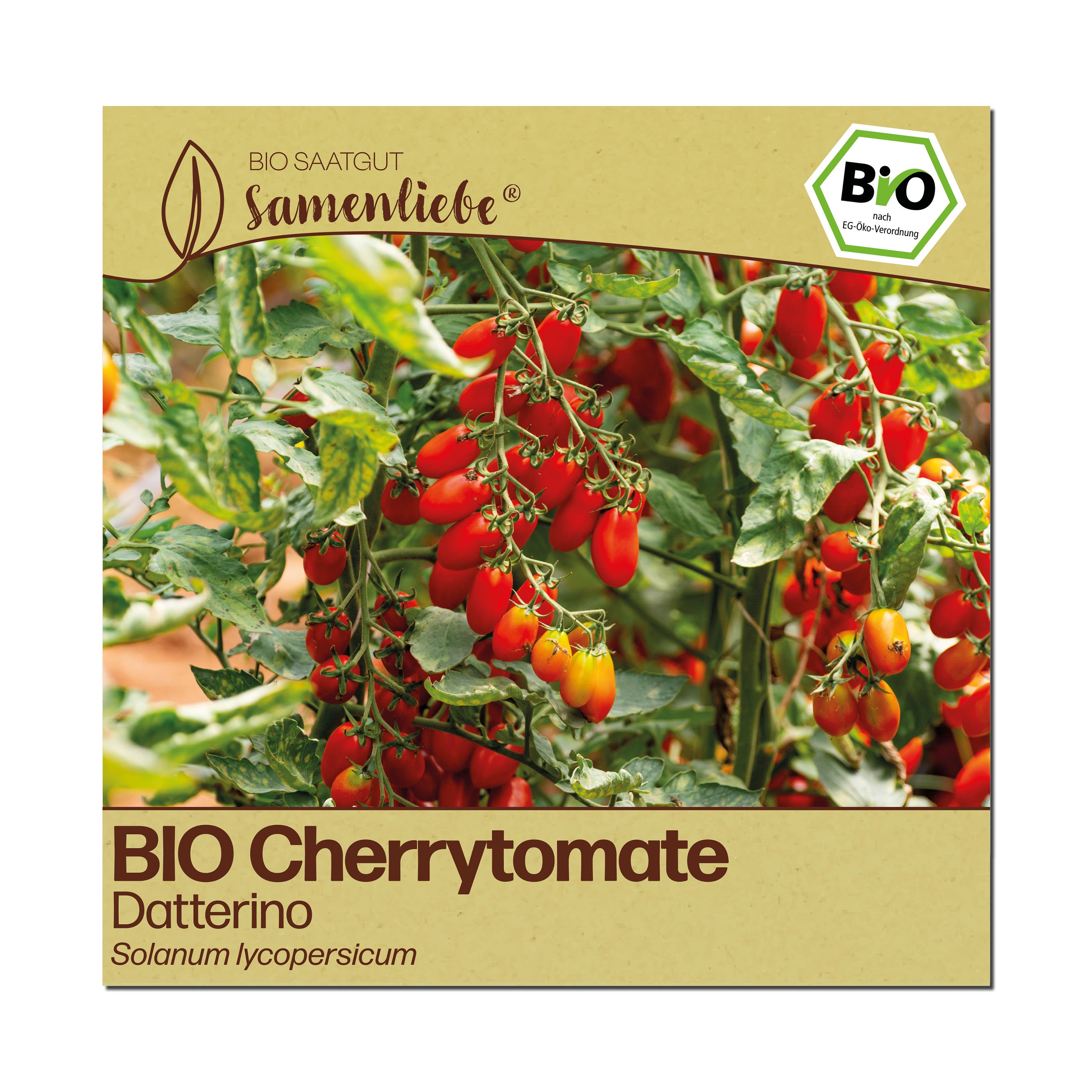 BIO Tomate "Datterino"