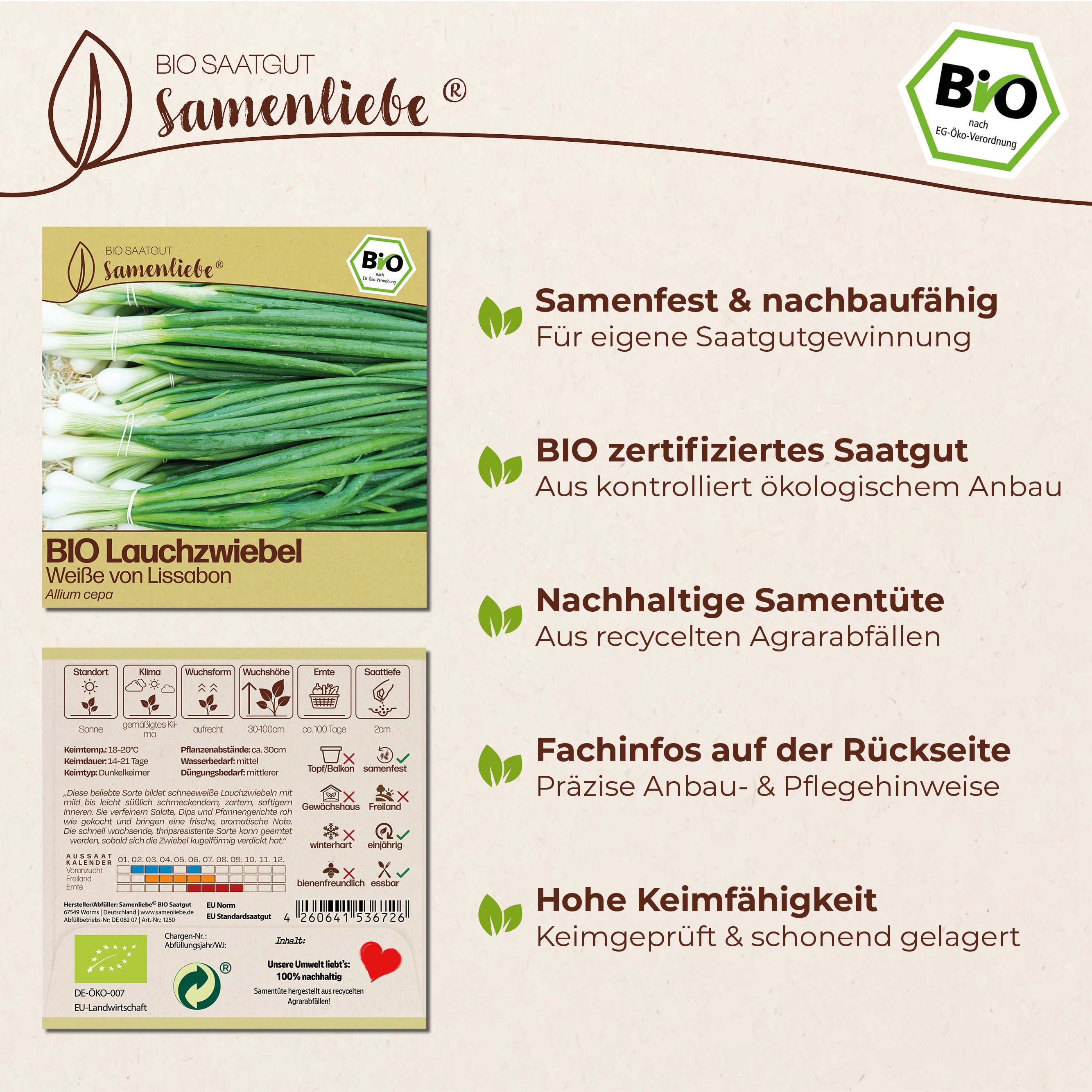 BIO Lauchzwiebel "Weiße von Lissabon"