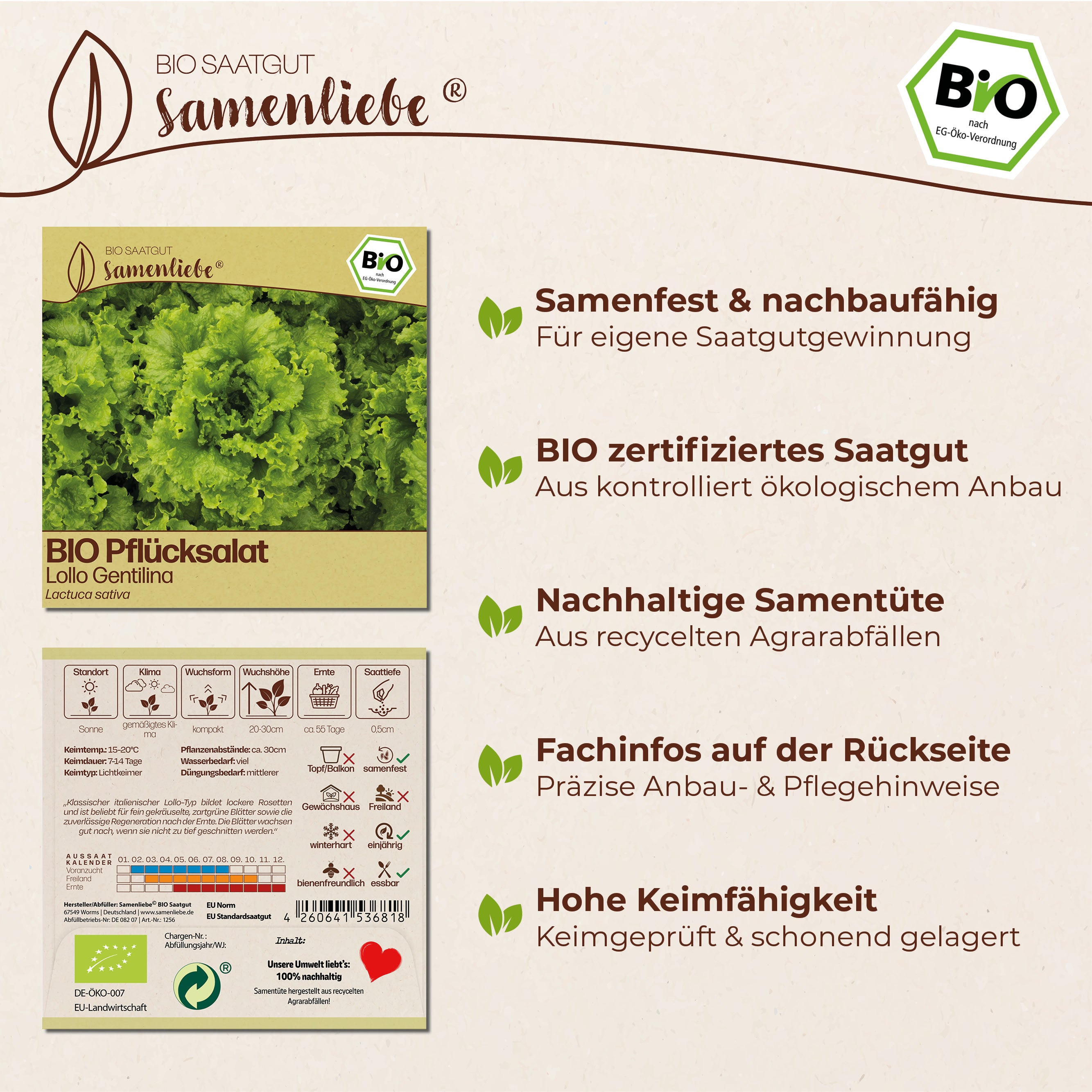 BIO Salat "Lollo Gentilina"