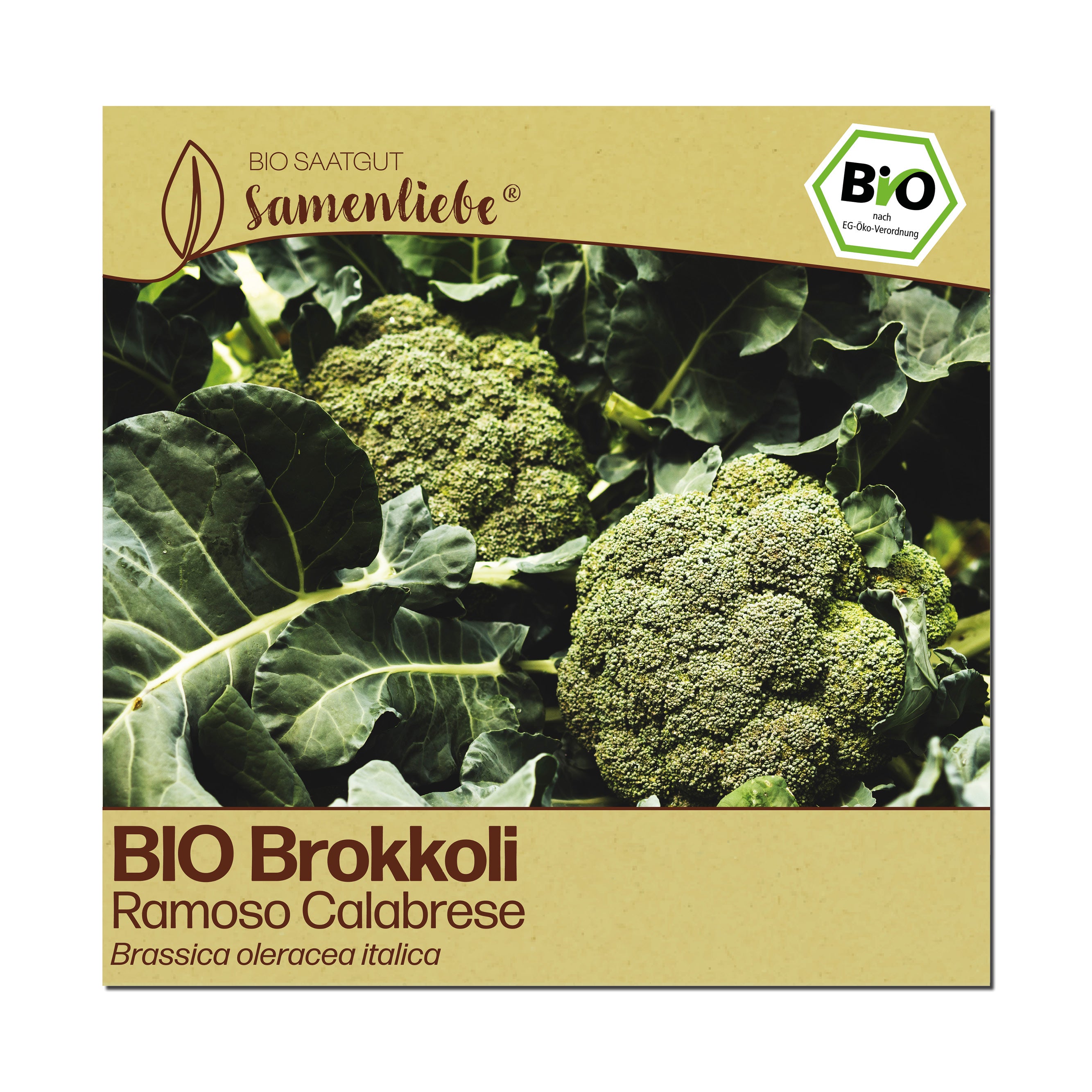 BIO Brokkoli "Ramoso"