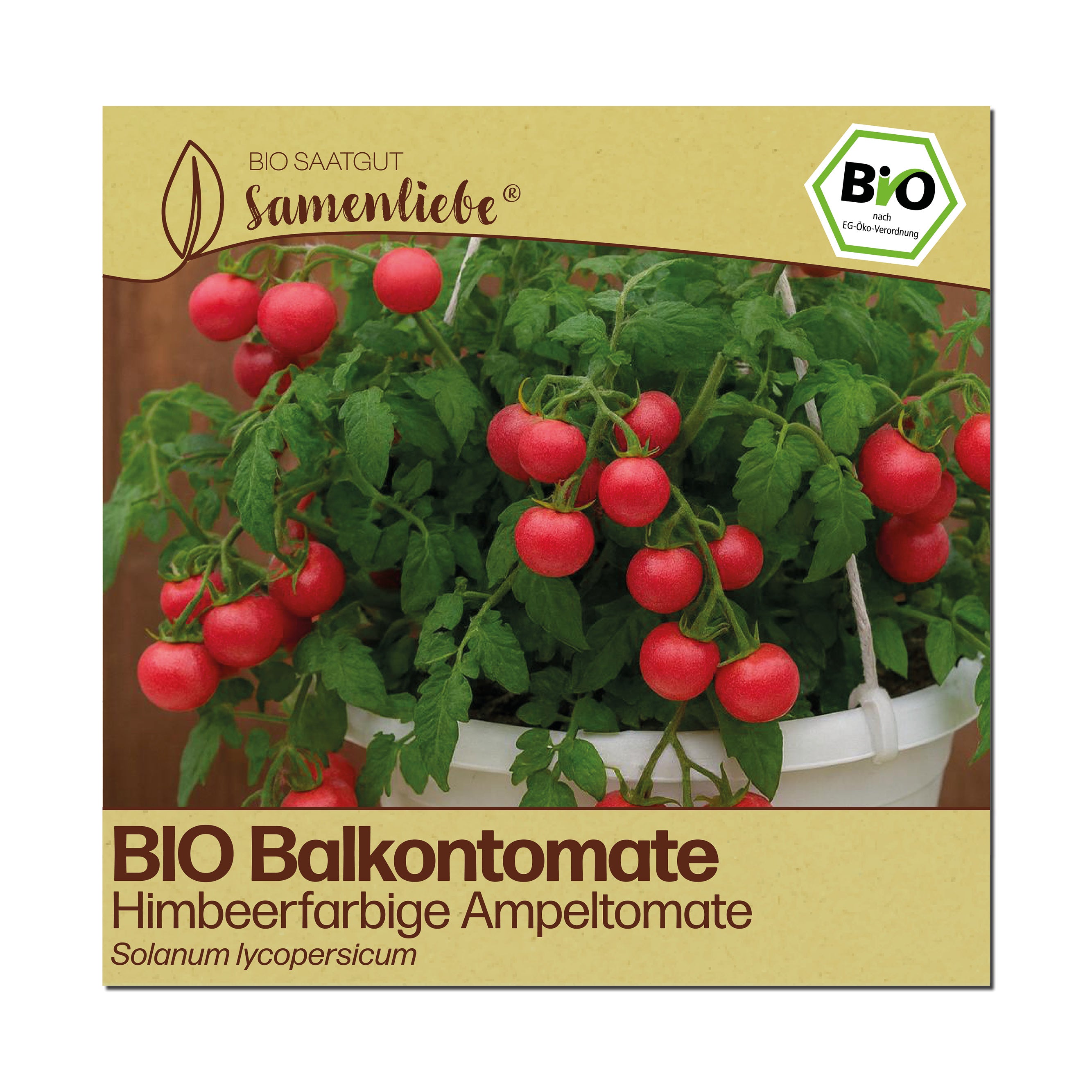 BIO Tomate "Himbeerfarbige Ampeltomate"
