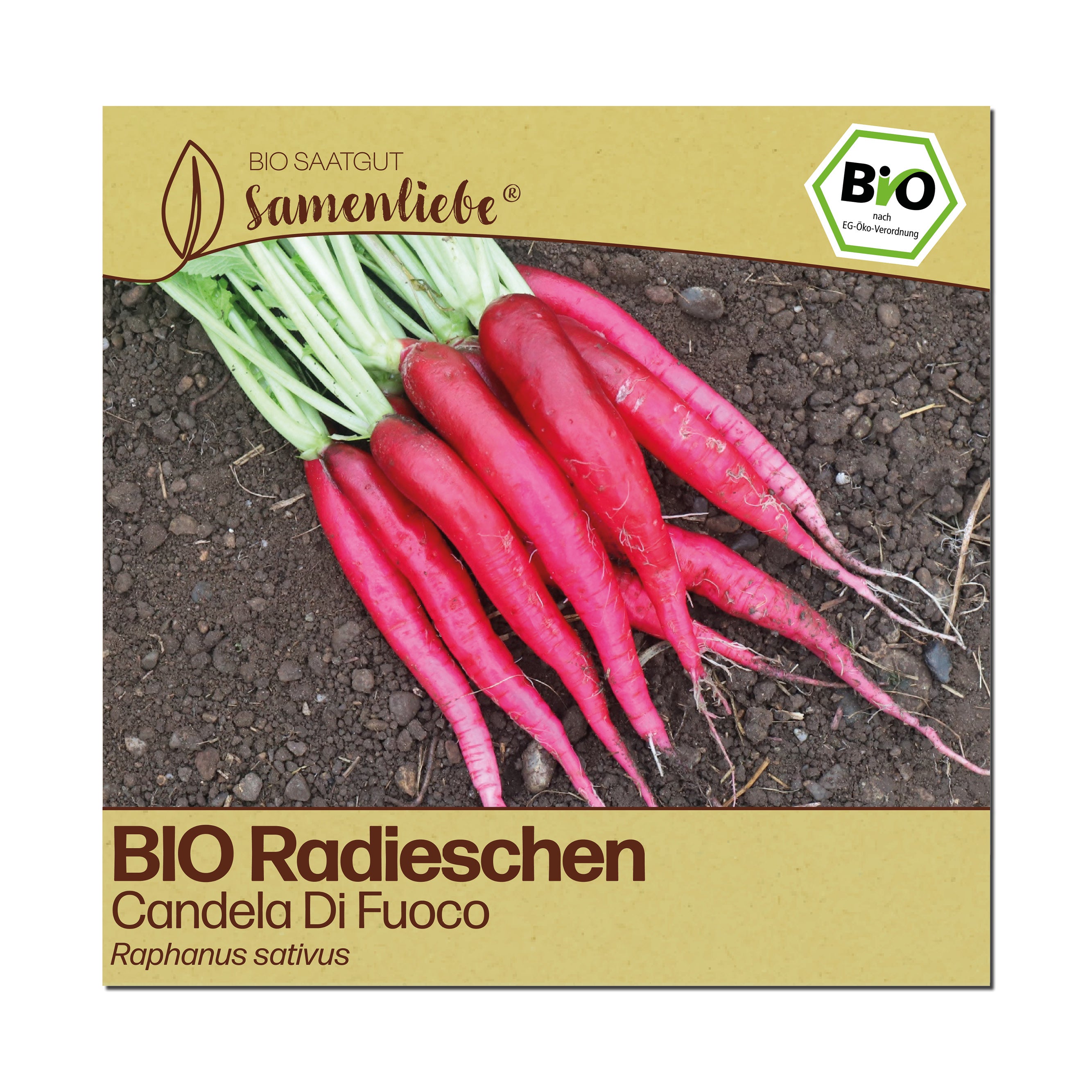 BIO Radieschen "Candela Di Fuoco"