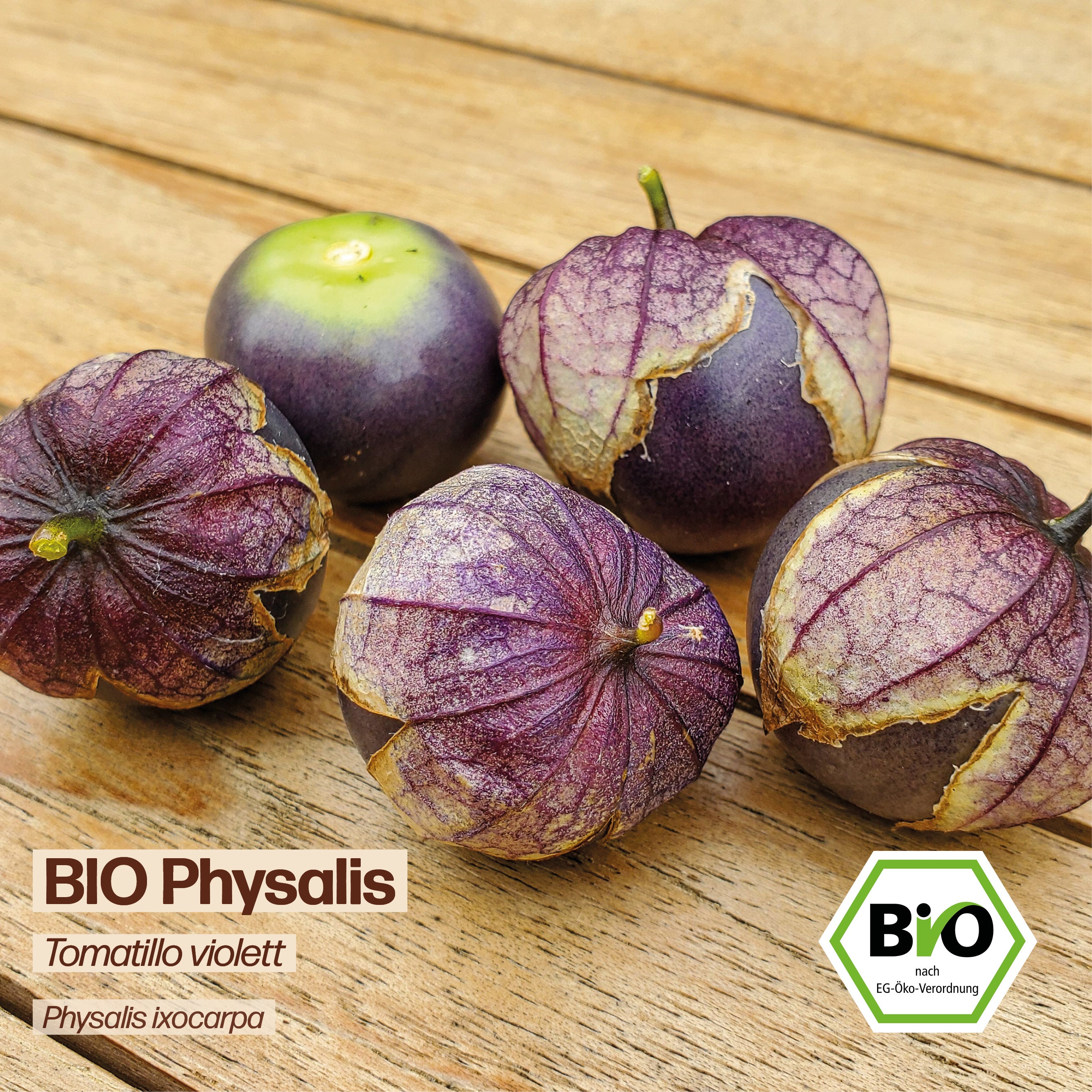 BIO Tomatillo "Purple Tomatillo"