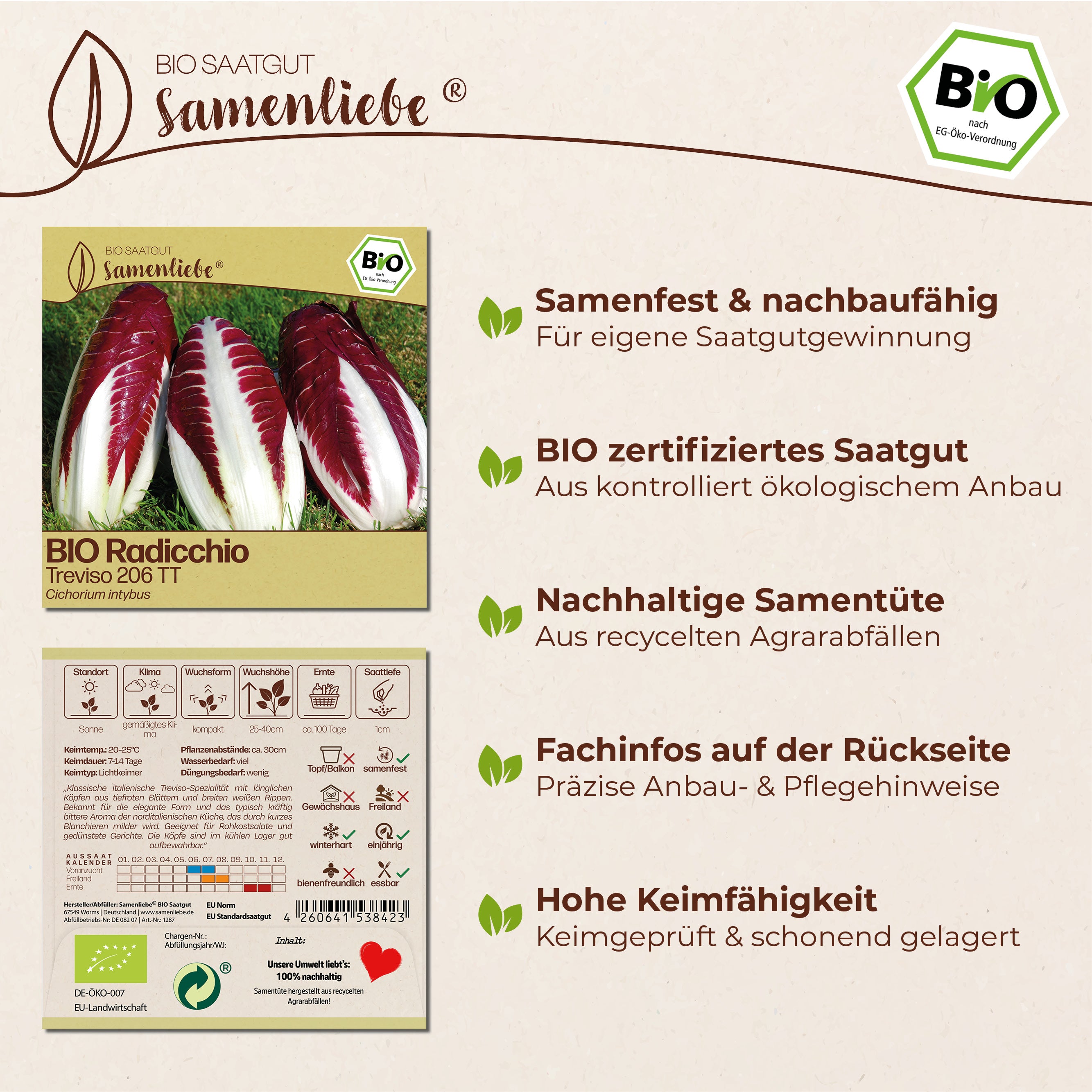 BIO Radicchio "Treviso 206 TT"