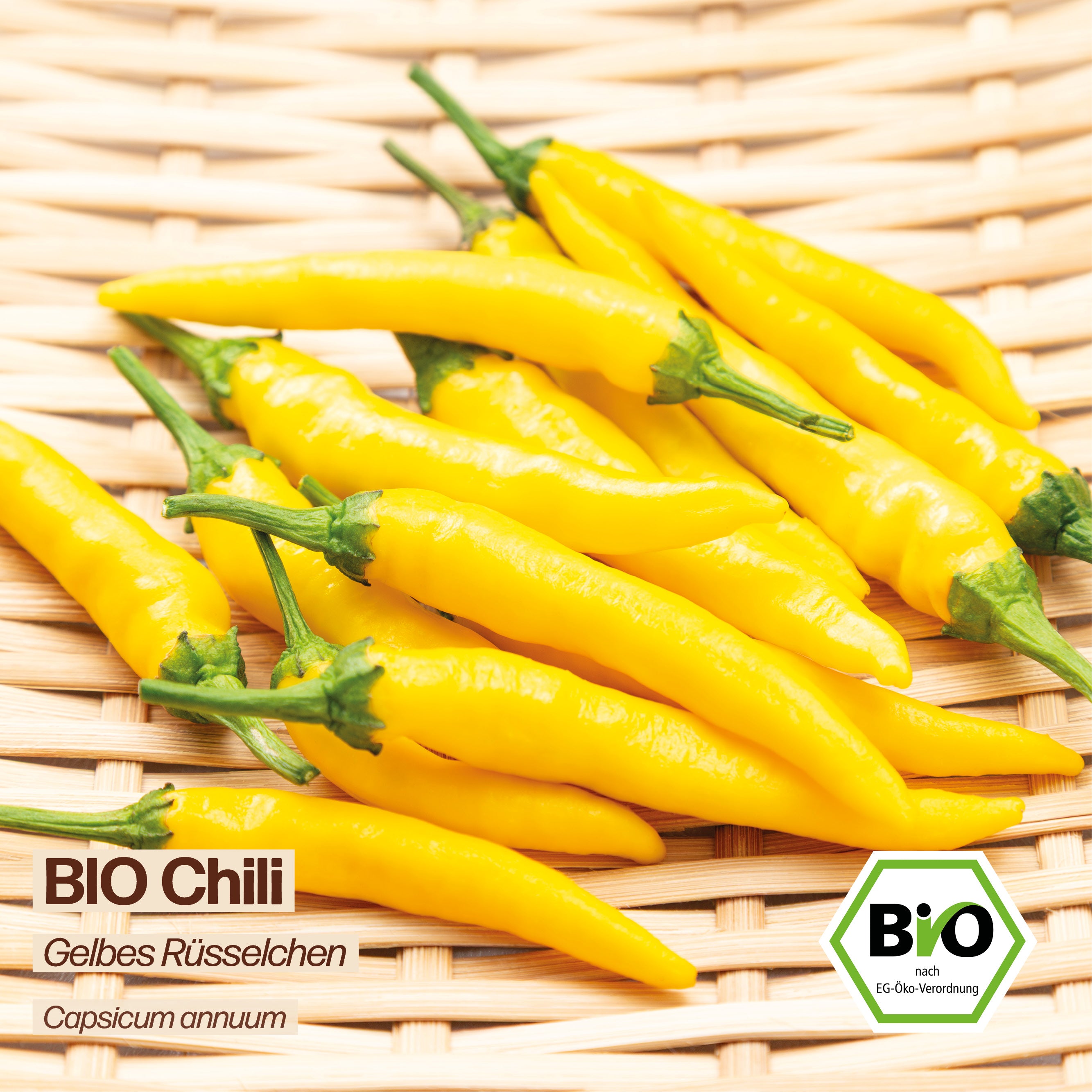 BIO Chili "Gelbes Rüsselchen"