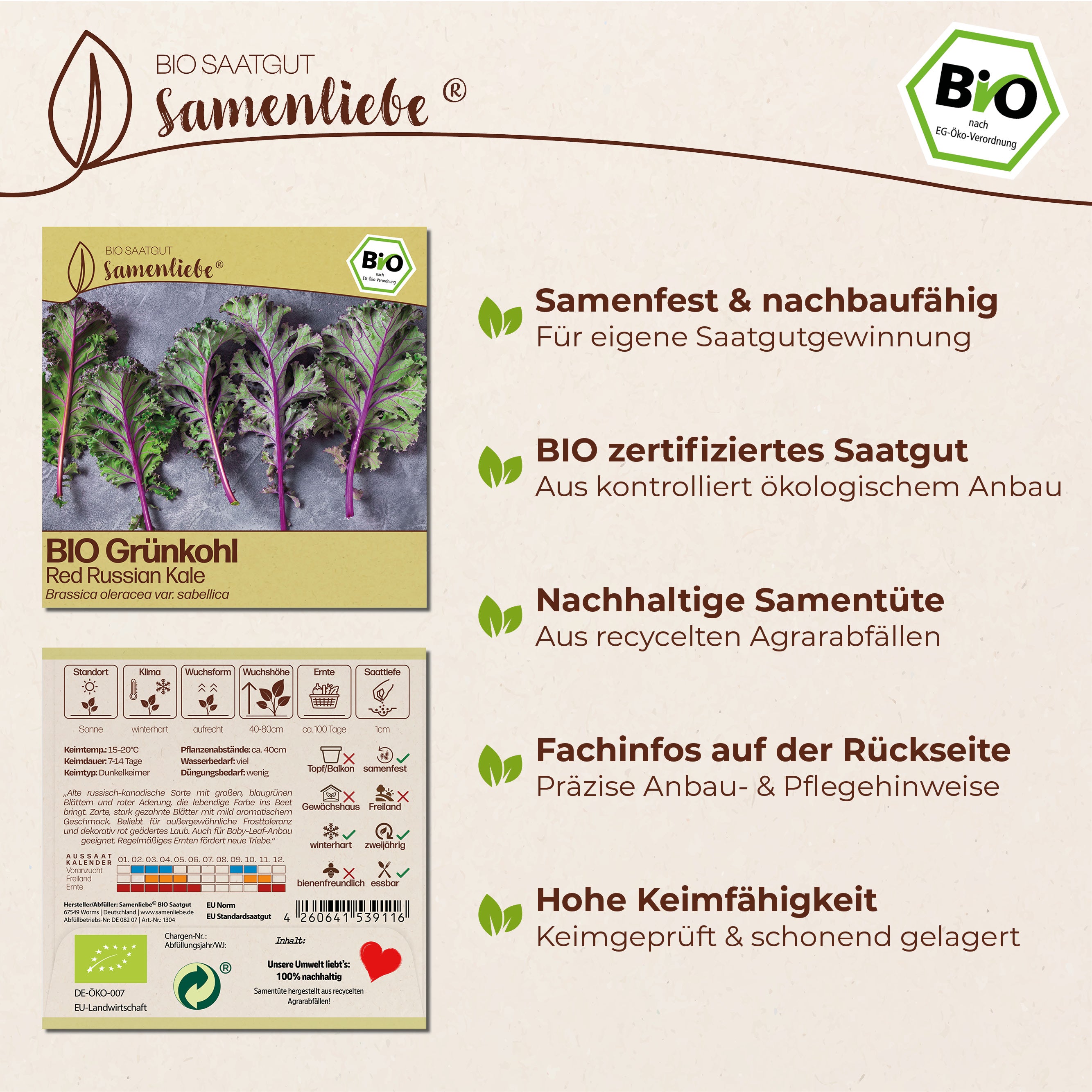 BIO Grünkohl "Red Russian Kale"