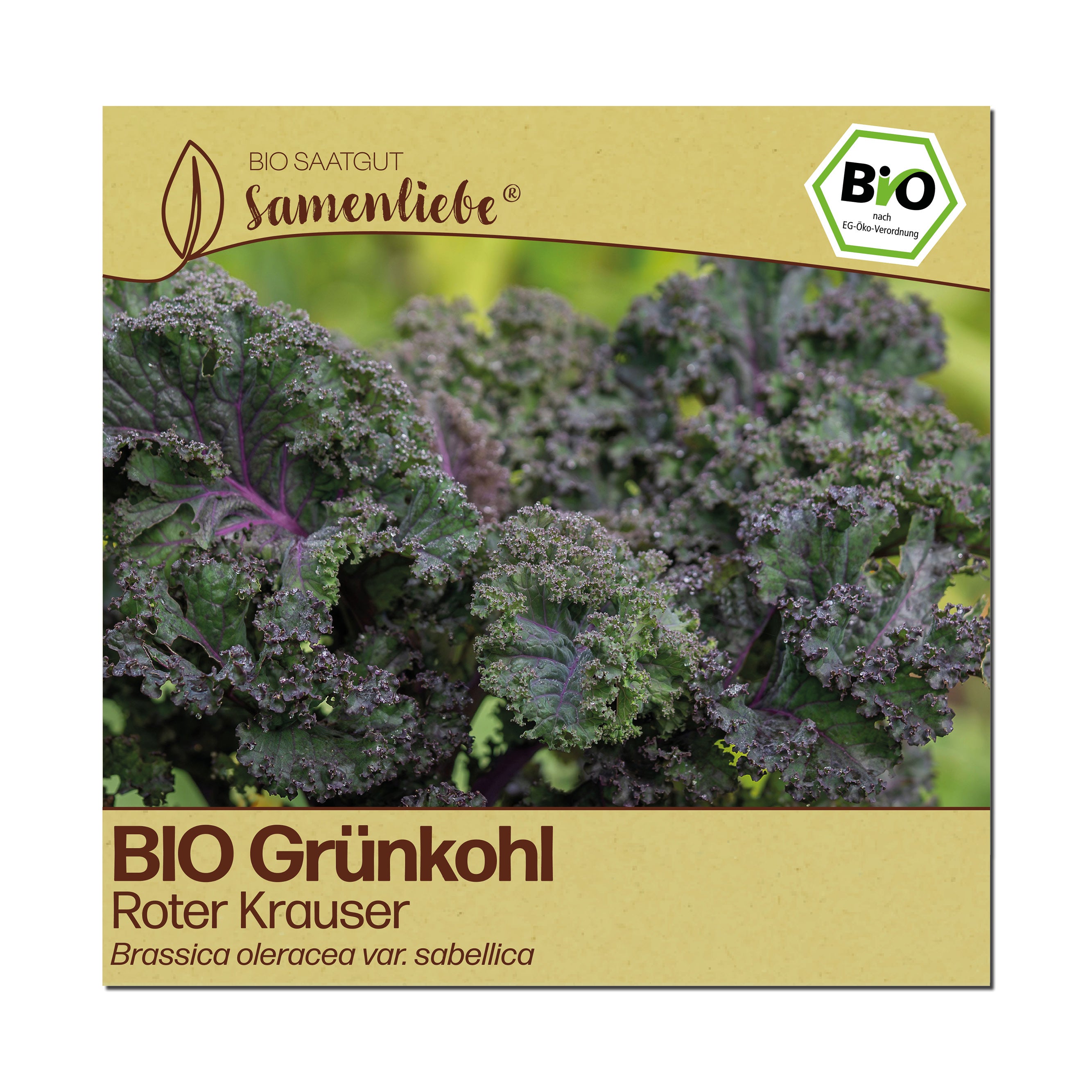 BIO Grünkohl "Roter Krauser"
