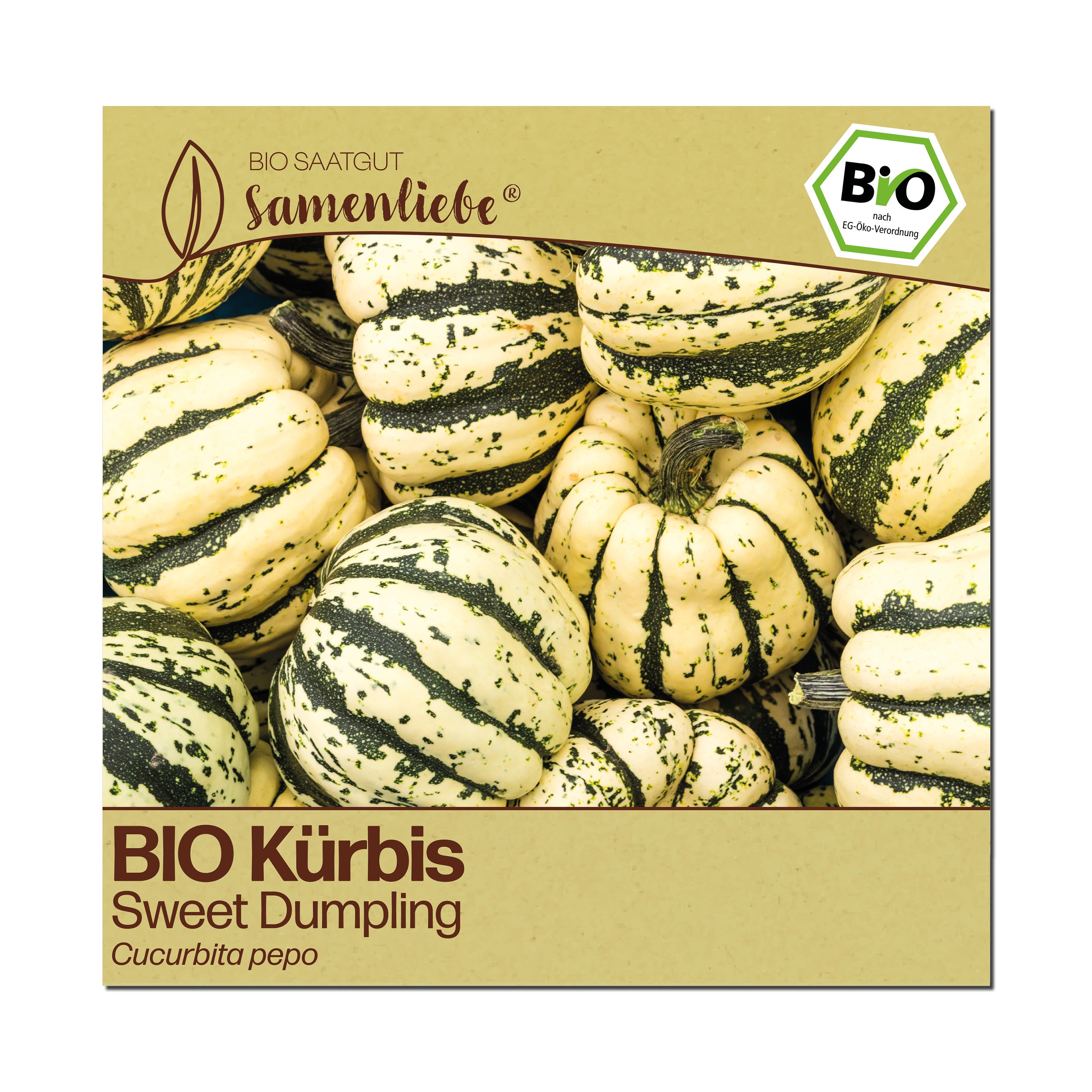 BIO Kürbis "Sweet Dumpling"