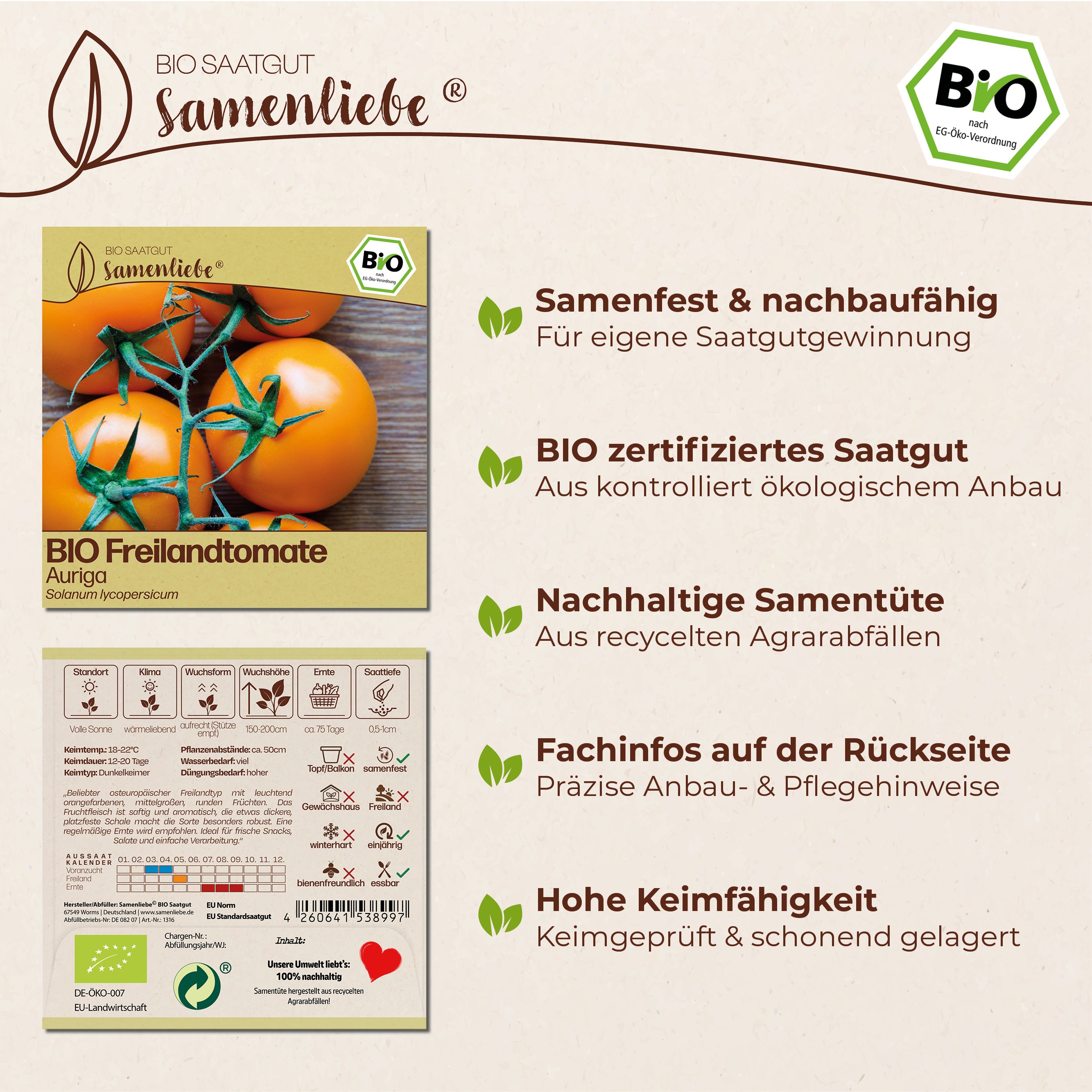 BIO Tomate "Auriga"