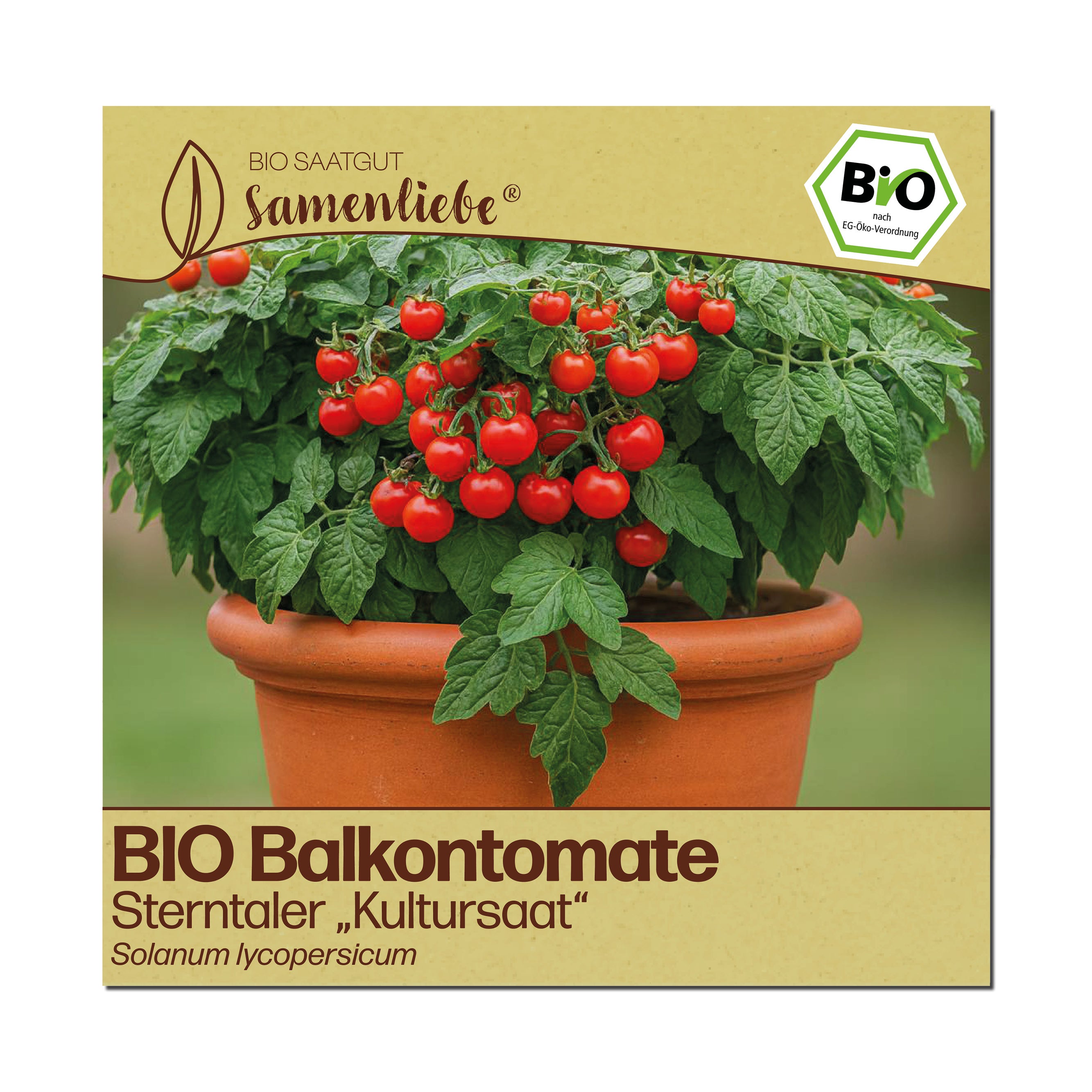BIO Tomate "Sterntaler - Kultursaat"