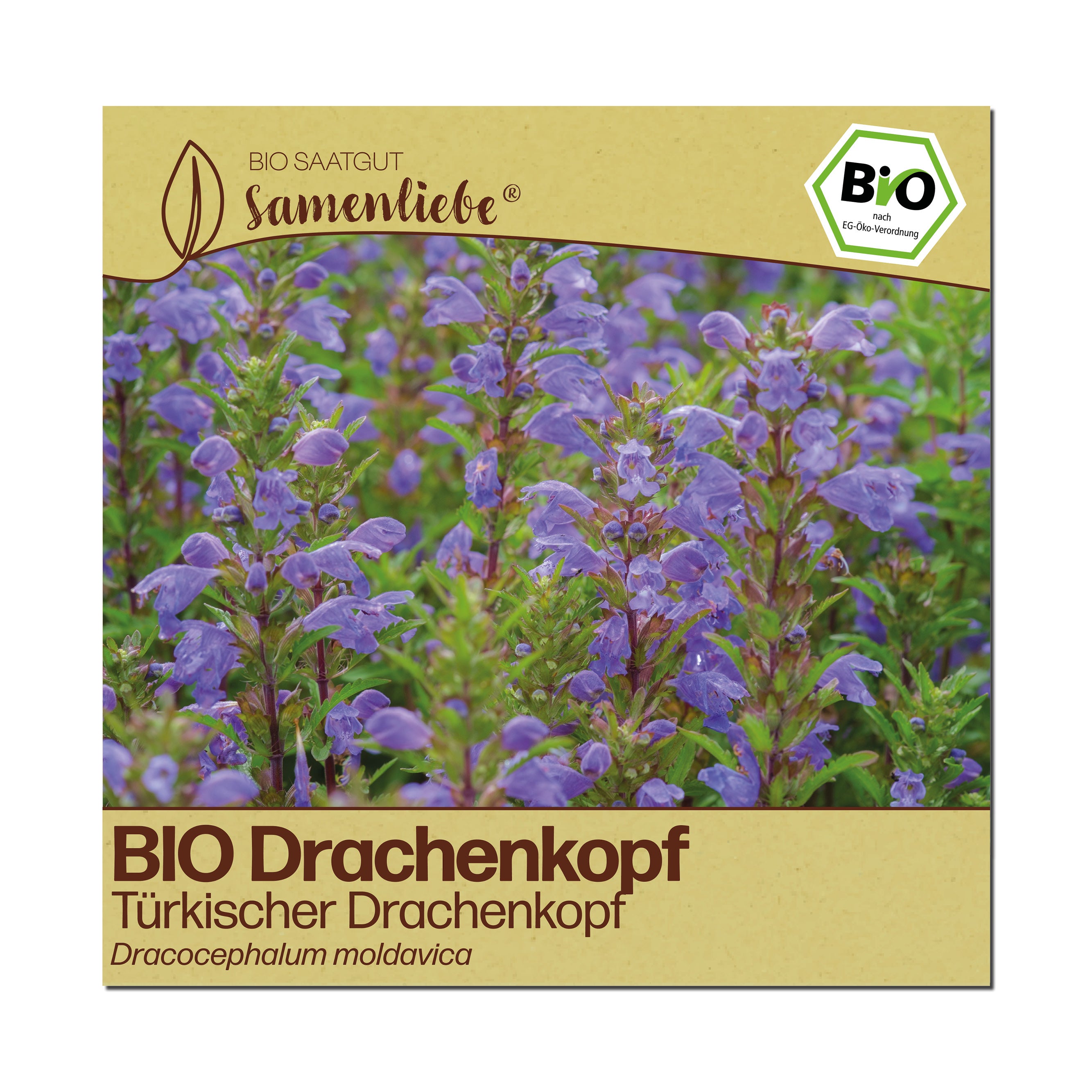 BIO Drachenkopf "Türkischer Drachenkopf"